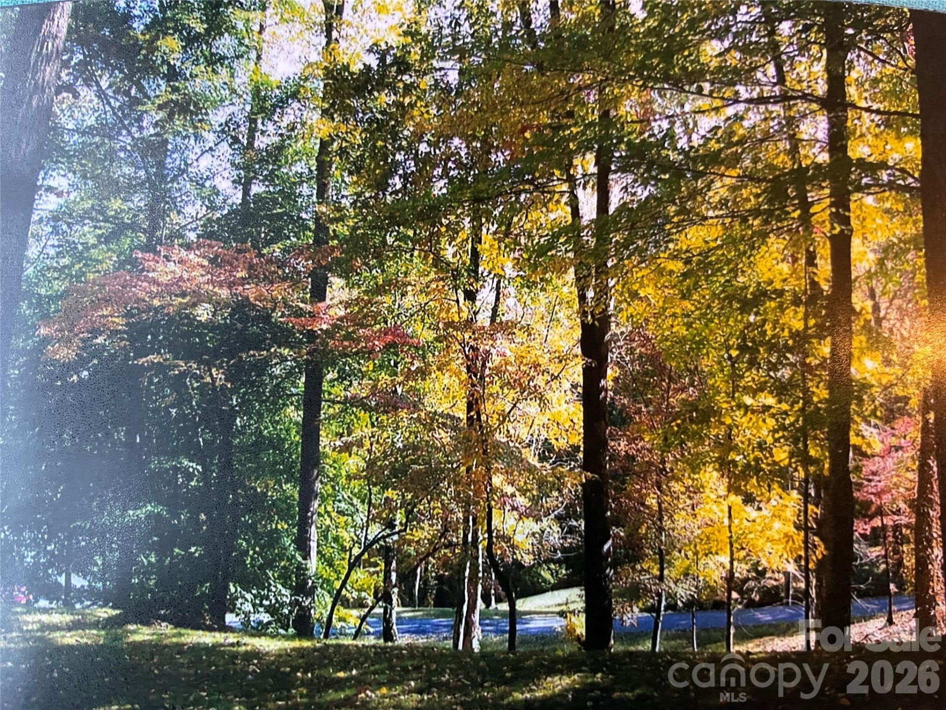 23 Mahan Lane - Photo 32