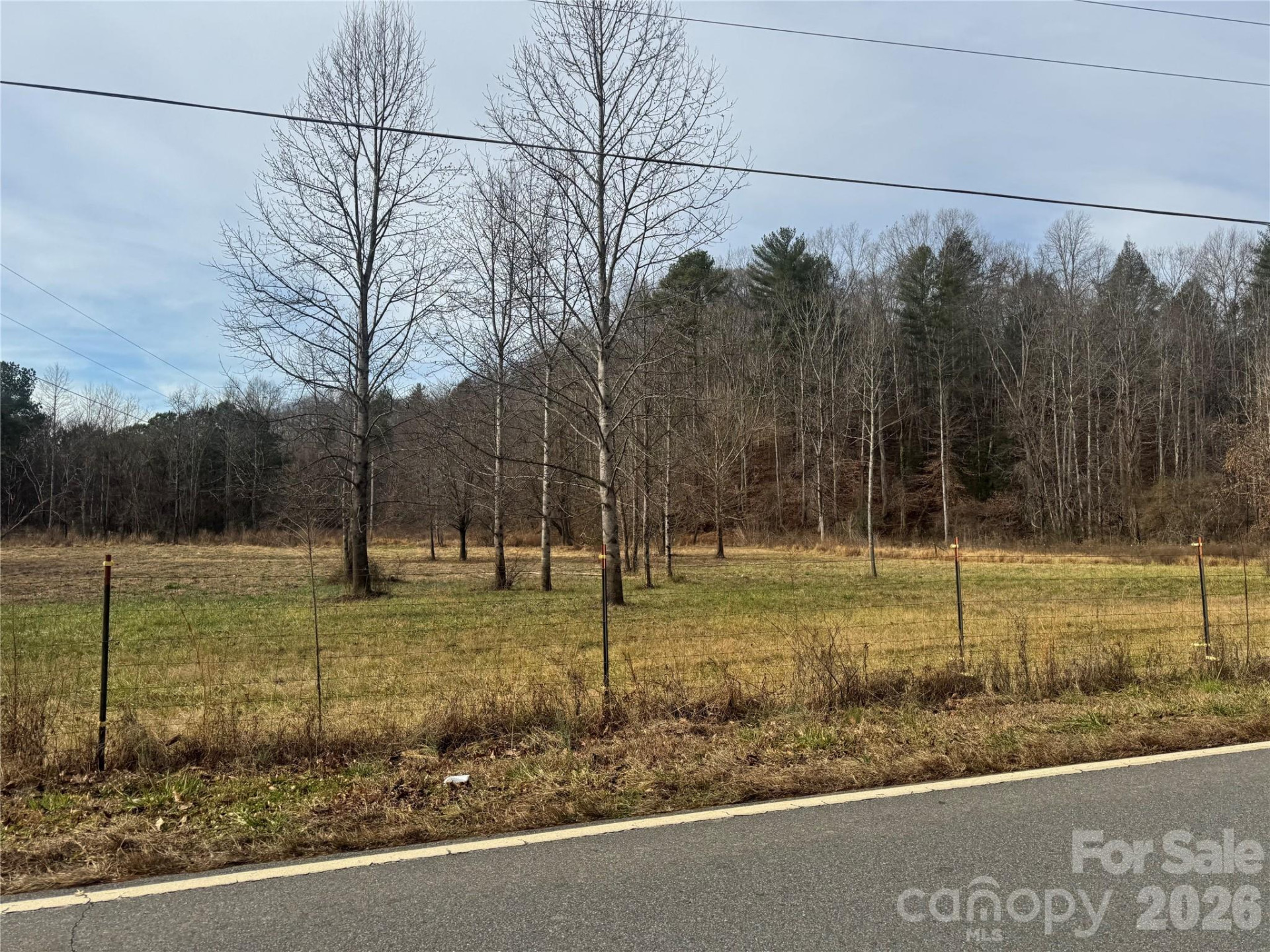 V/L Lentz Road - Photo 4