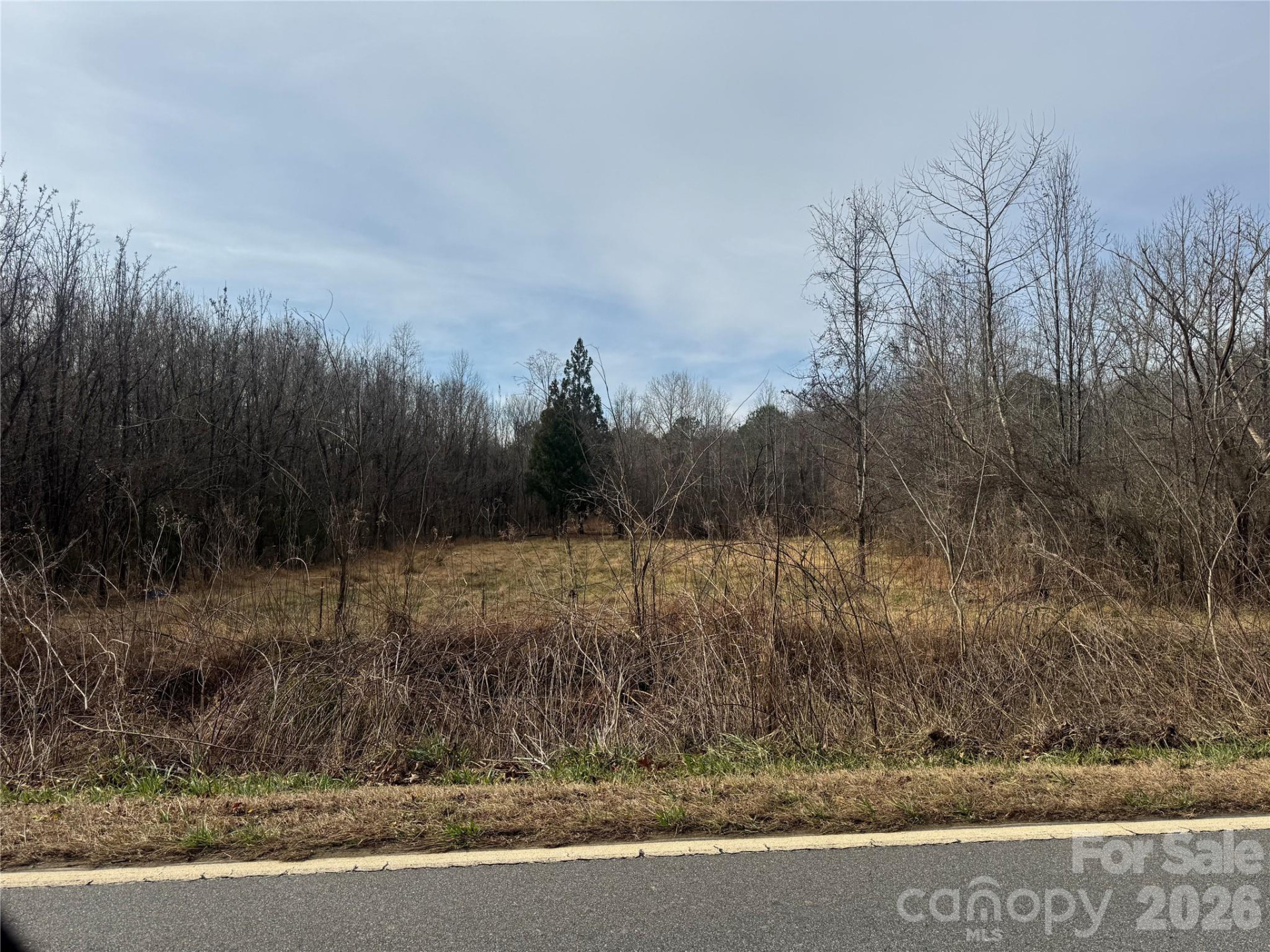 V/L Lentz Road - Photo 5