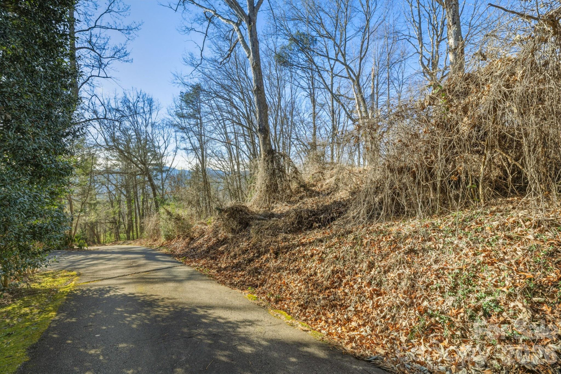 000 Briarwood Road - Photo 4