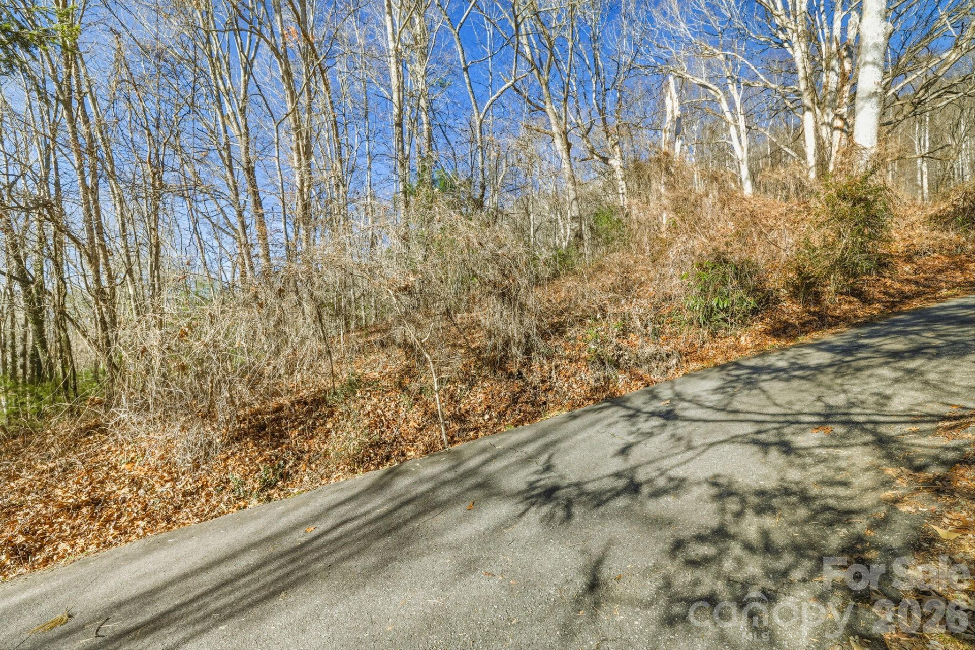 000 Briarwood Road - Photo 5