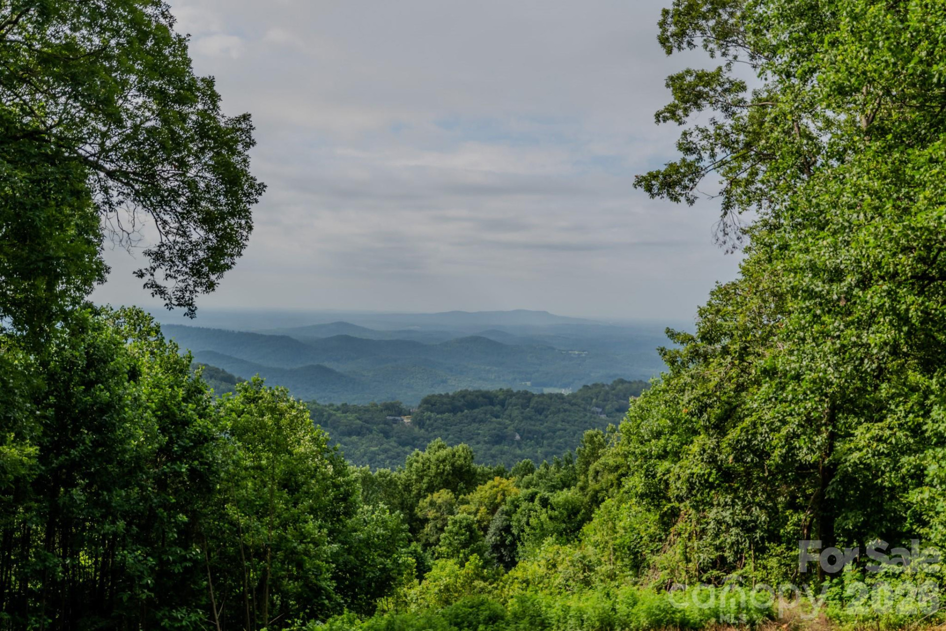 42 Wild Magnolia Way - Photo 3