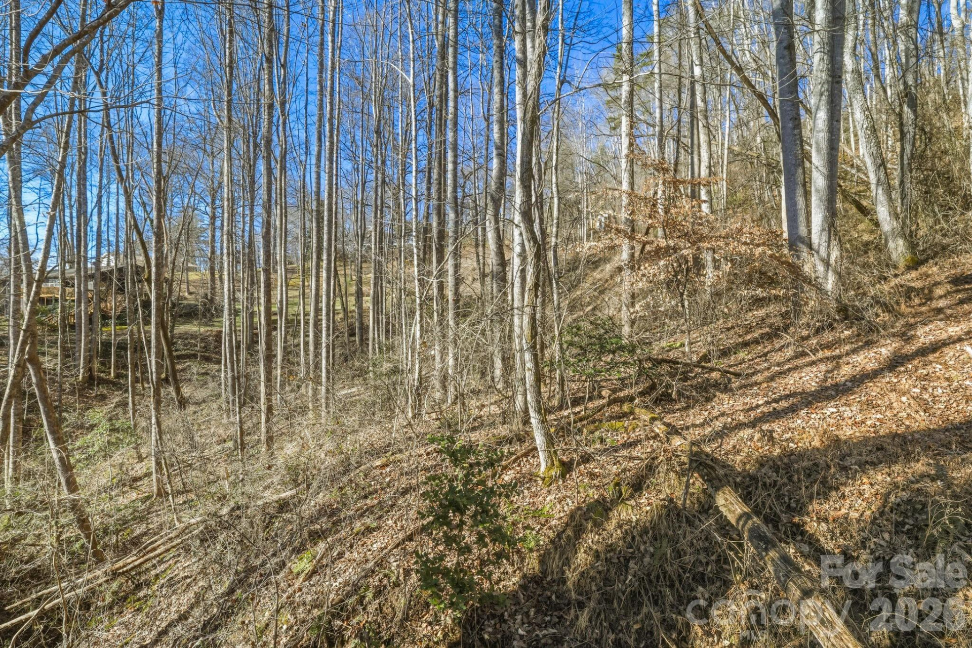 000 Briarwood Road - Photo 11