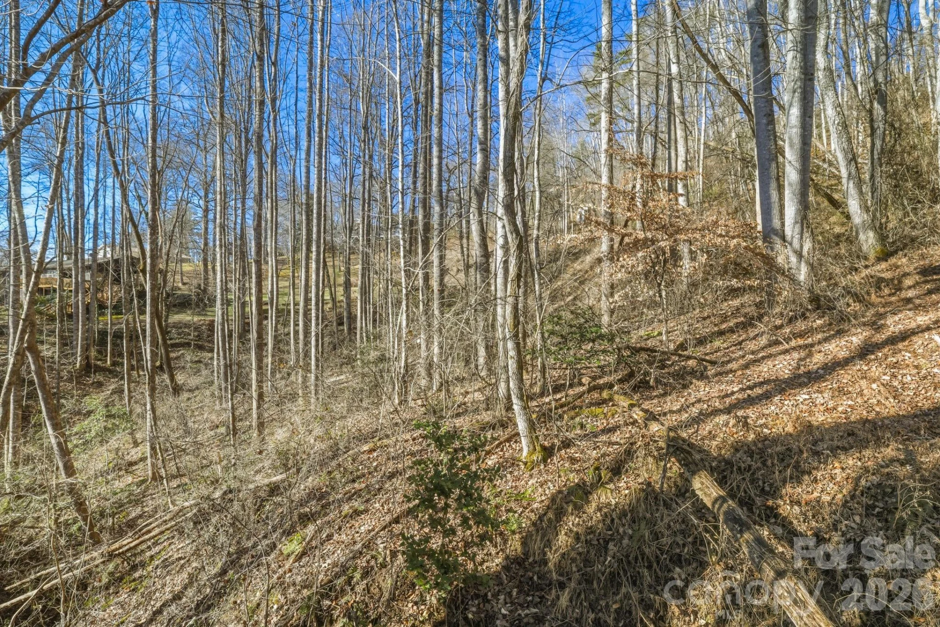 000 Briarwood Road - Photo 11