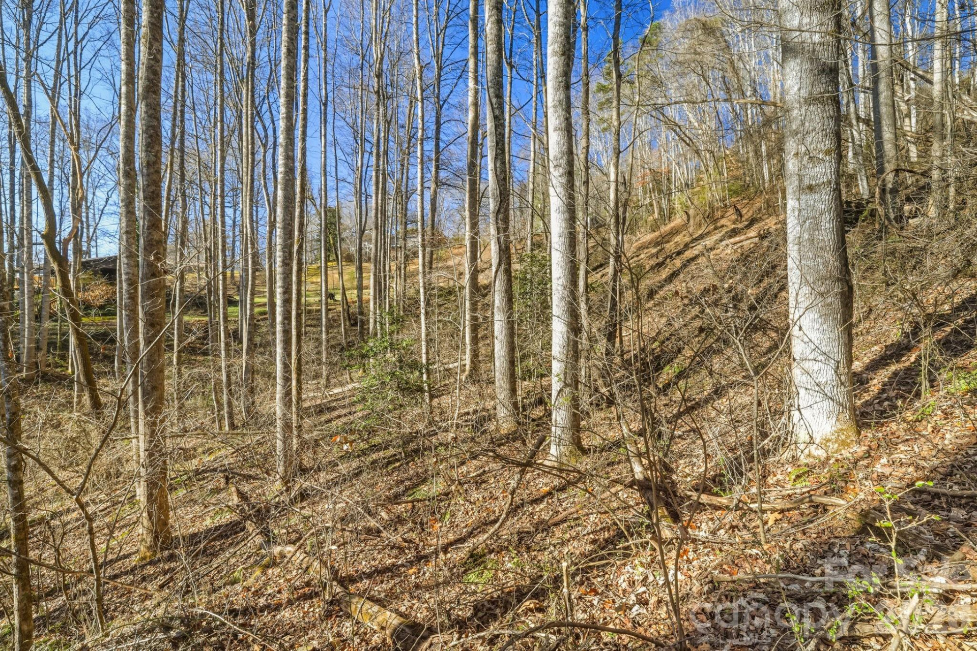 000 Briarwood Road - Photo 12