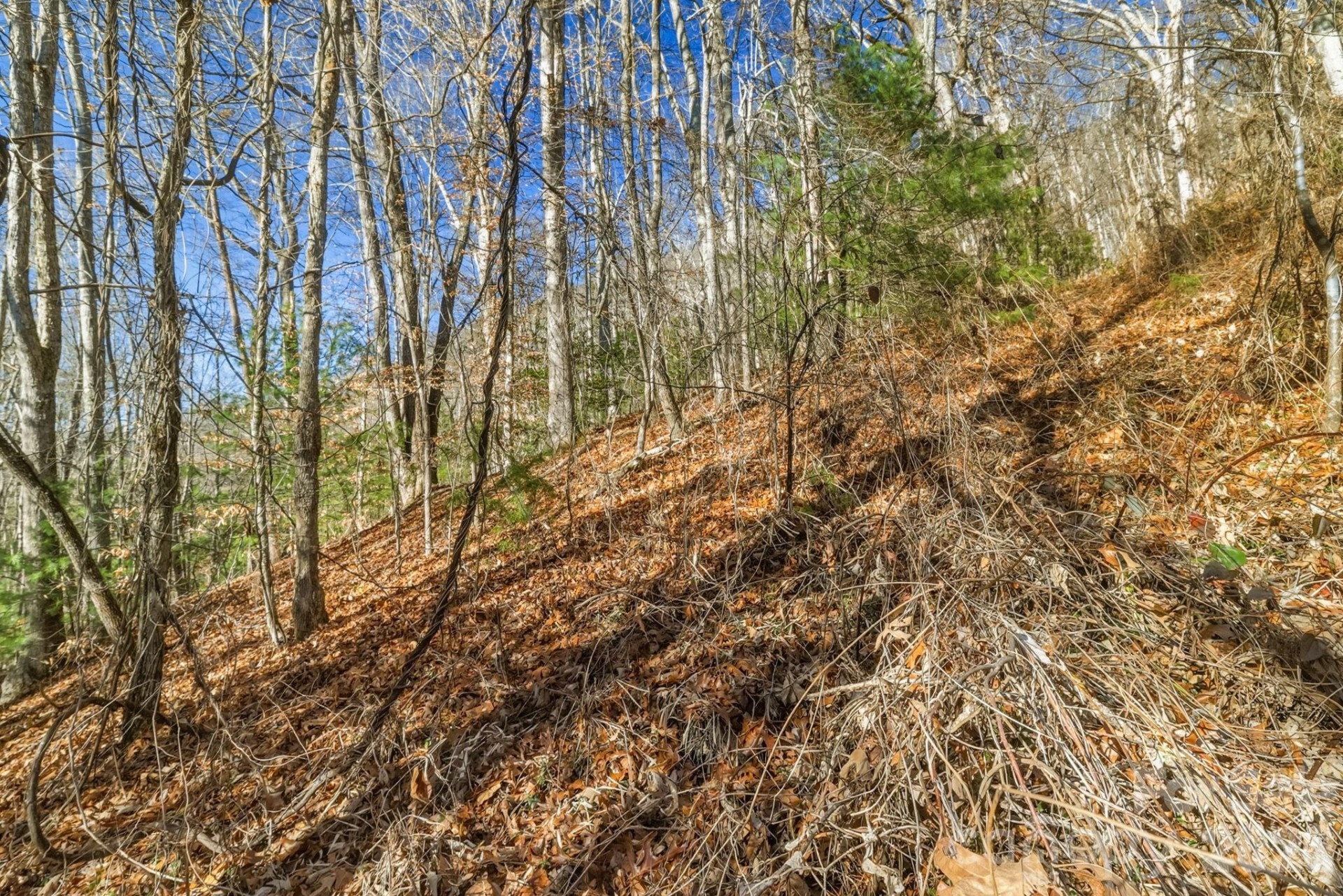 000 Briarwood Road - Photo 3