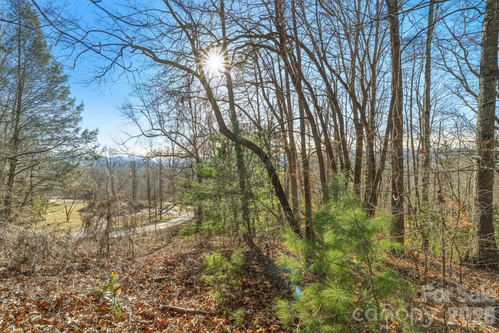 000 Briarwood Road - Photo 4