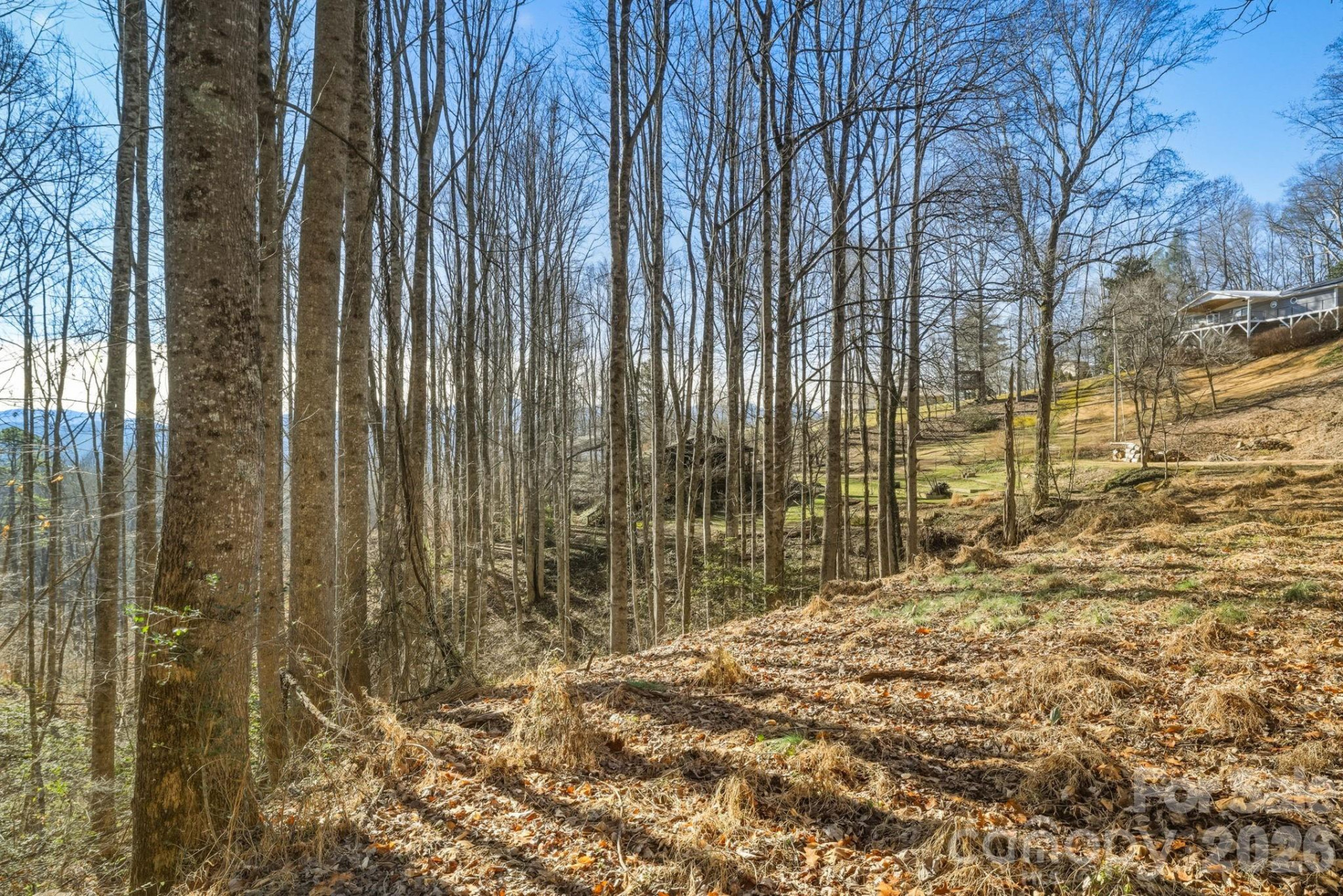 000 Briarwood Road - Photo 5