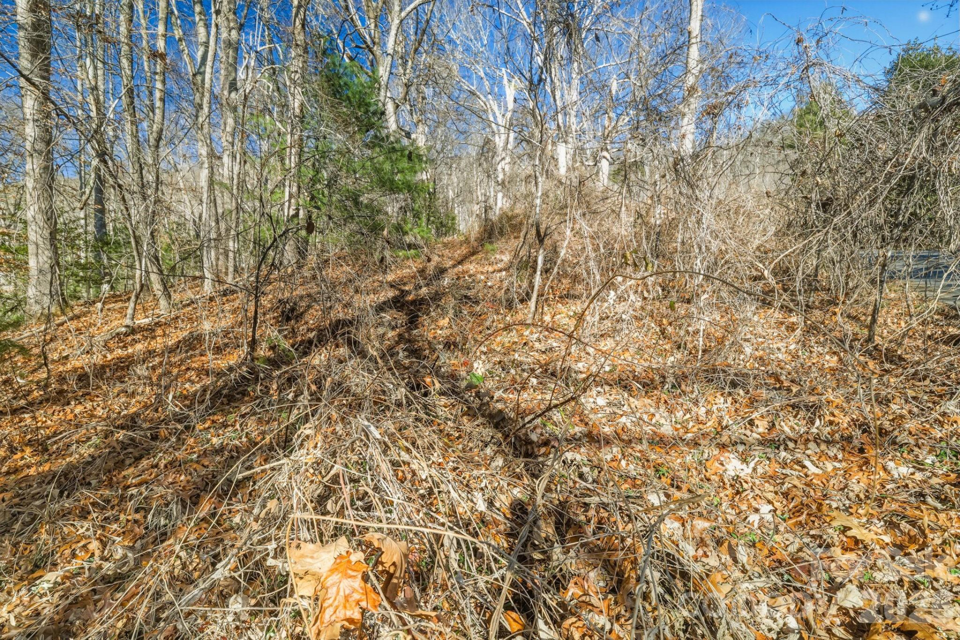 000 Briarwood Road - Photo 6