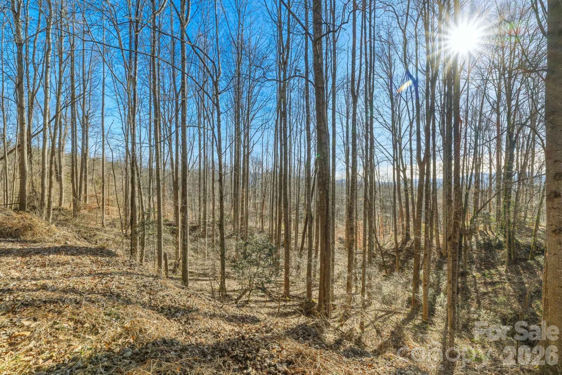 000 Briarwood Road - Photo 7