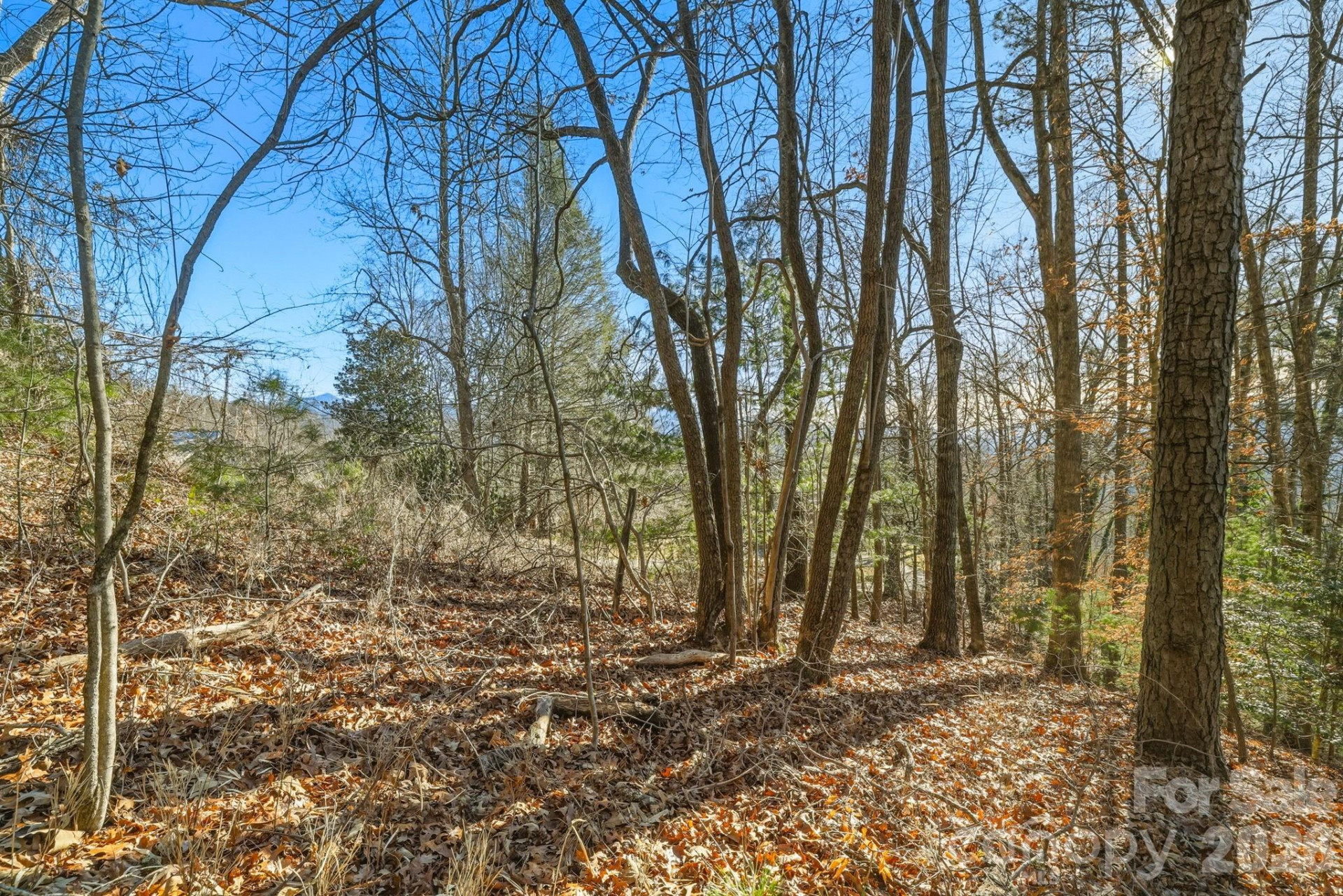 000 Briarwood Road - Photo 8