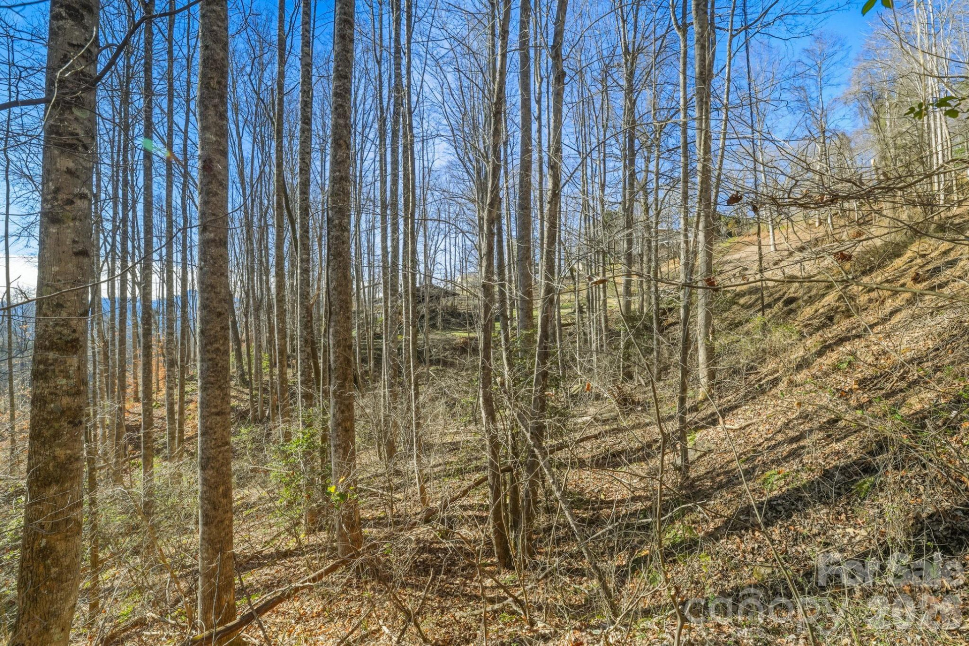 000 Briarwood Road - Photo 9