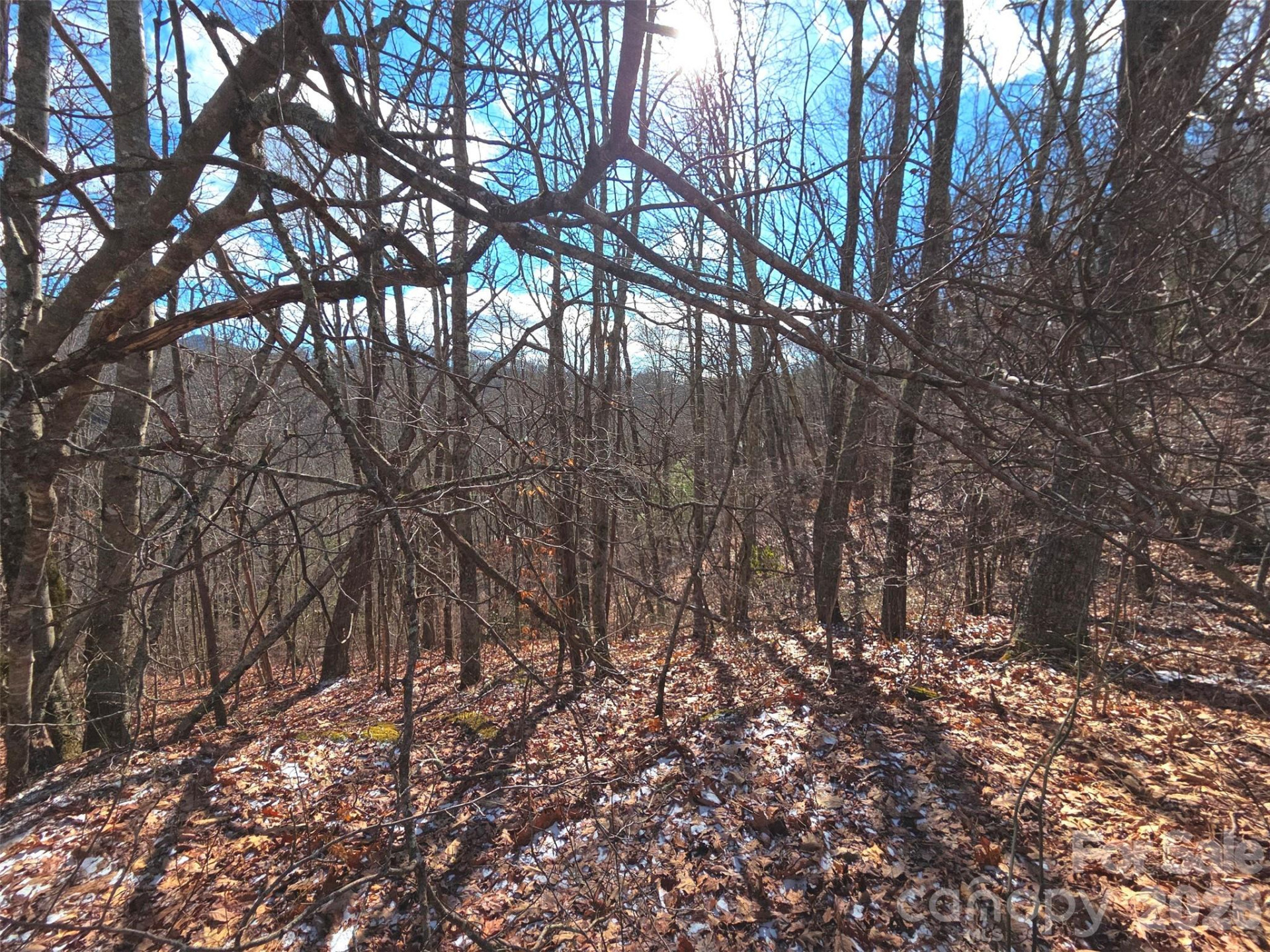 220 Sky Drive #PT-11 - Photo 13