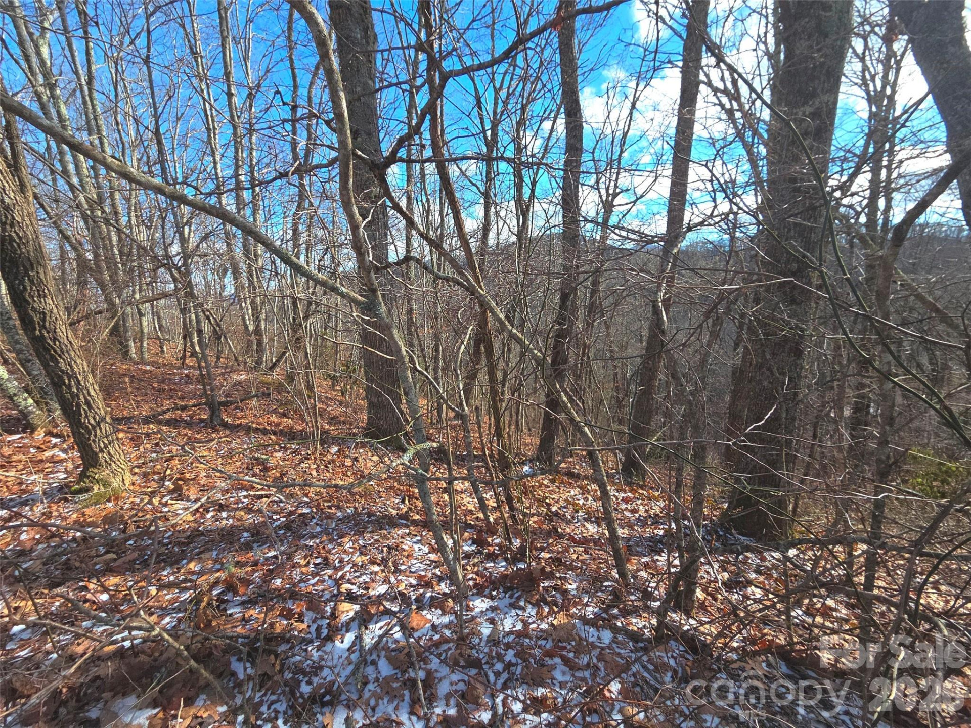 220 Sky Drive #PT-11 - Photo 14