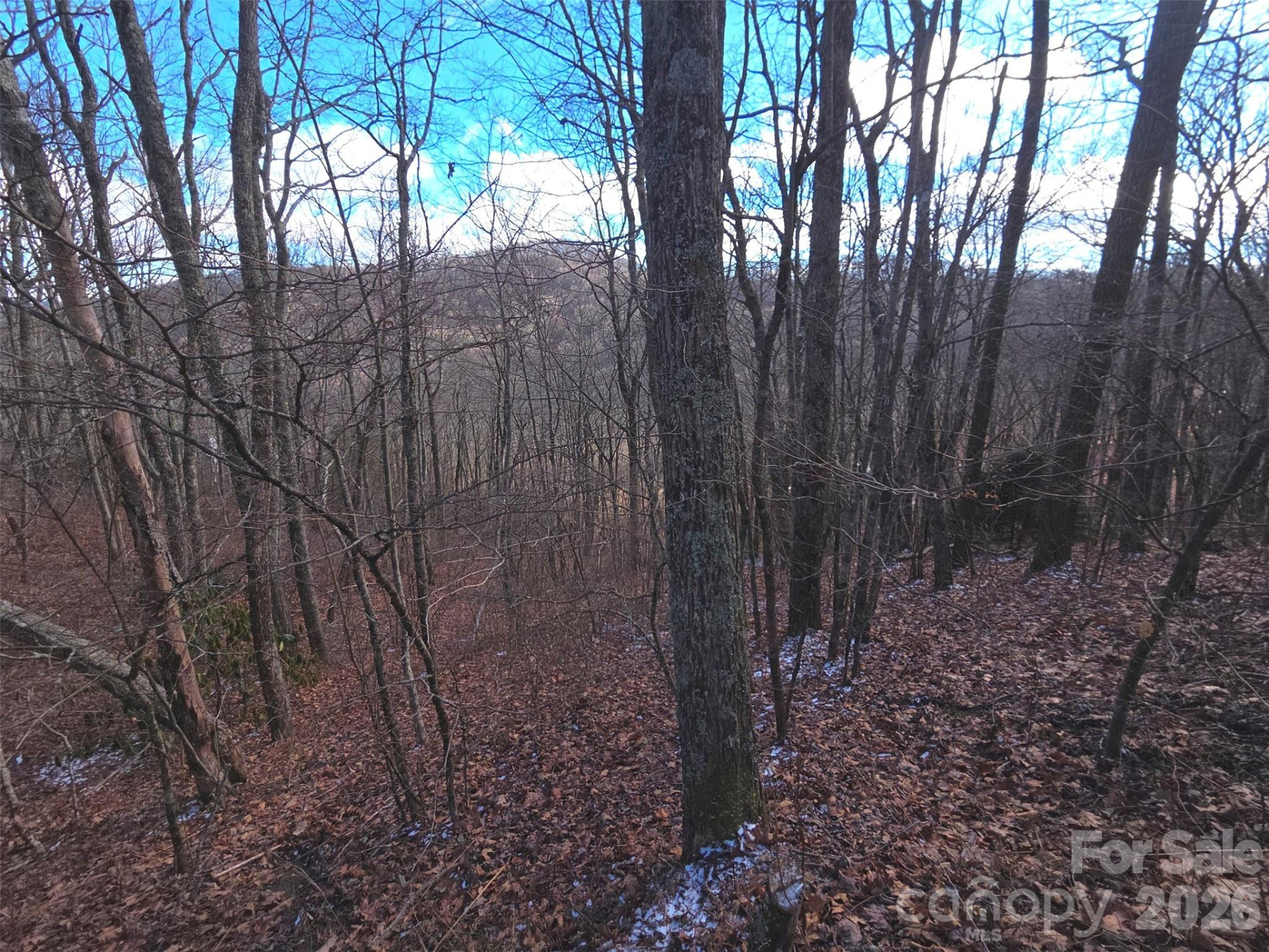 220 Sky Drive #PT-11 - Photo 15