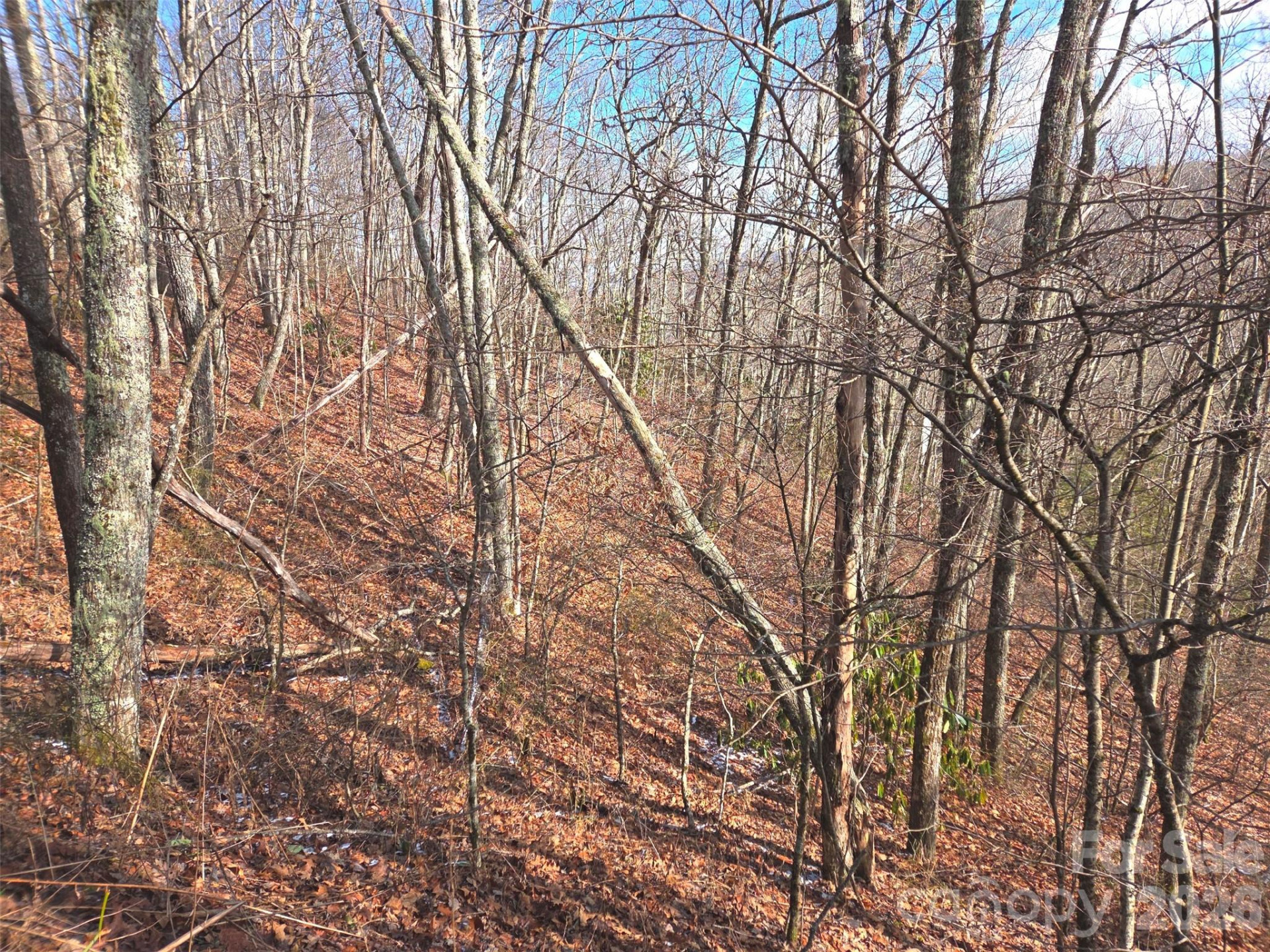 220 Sky Drive #PT-11 - Photo 5