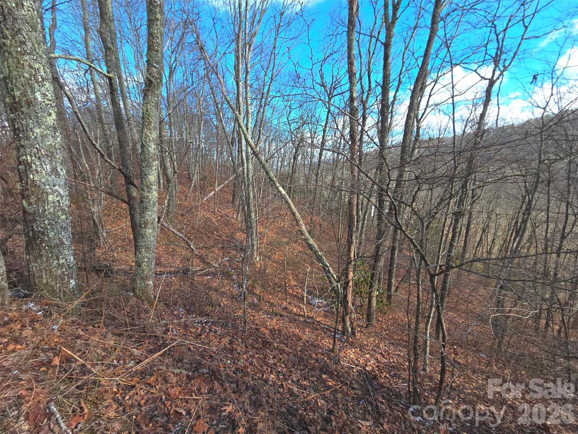 220 Sky Drive #PT-11 - Photo 6