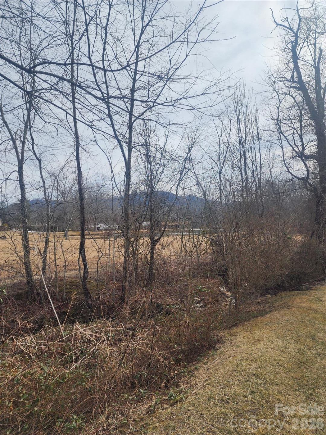 62 River Bend Lane - Photo 6