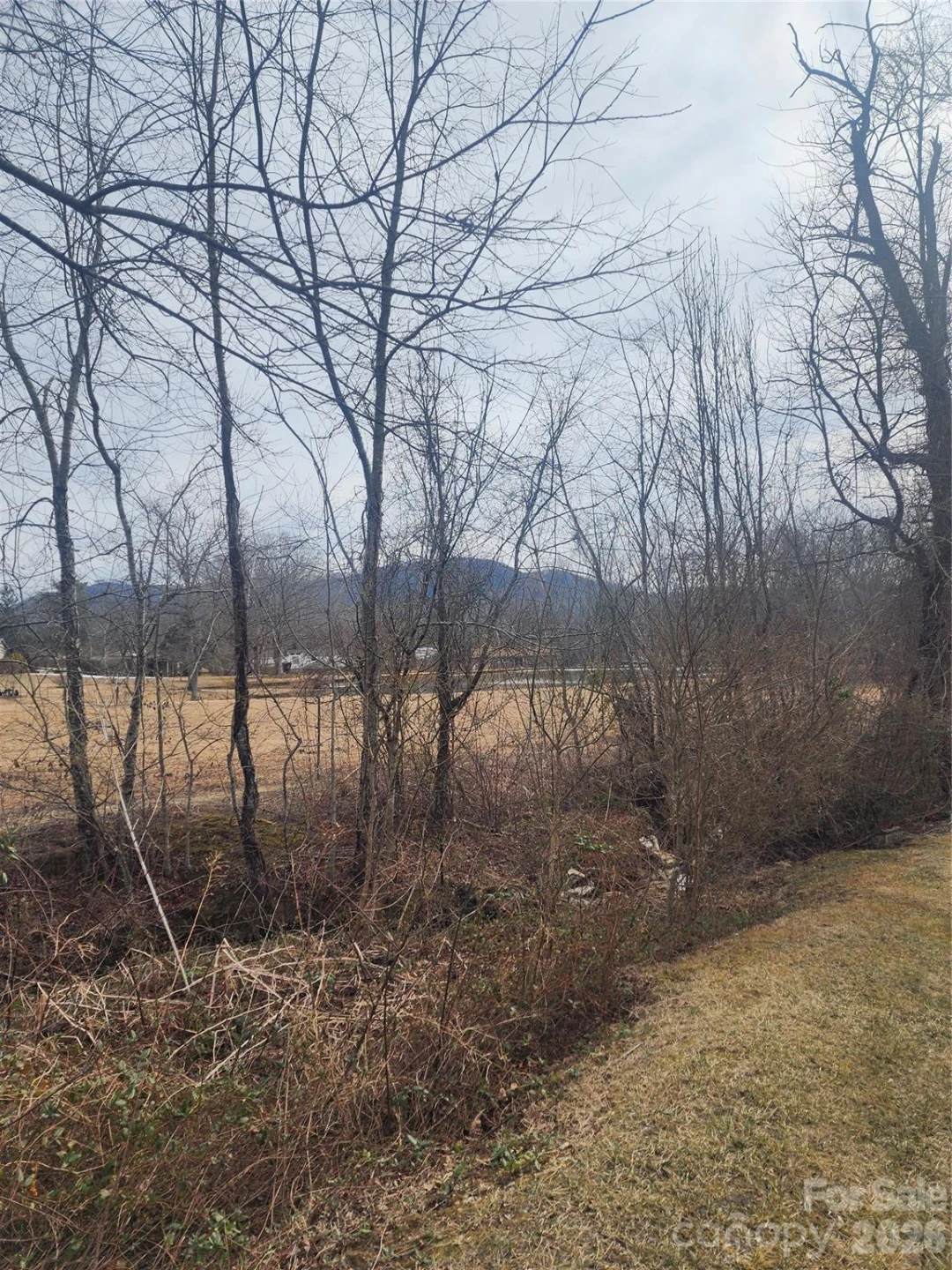 62 River Bend Lane - Photo 6