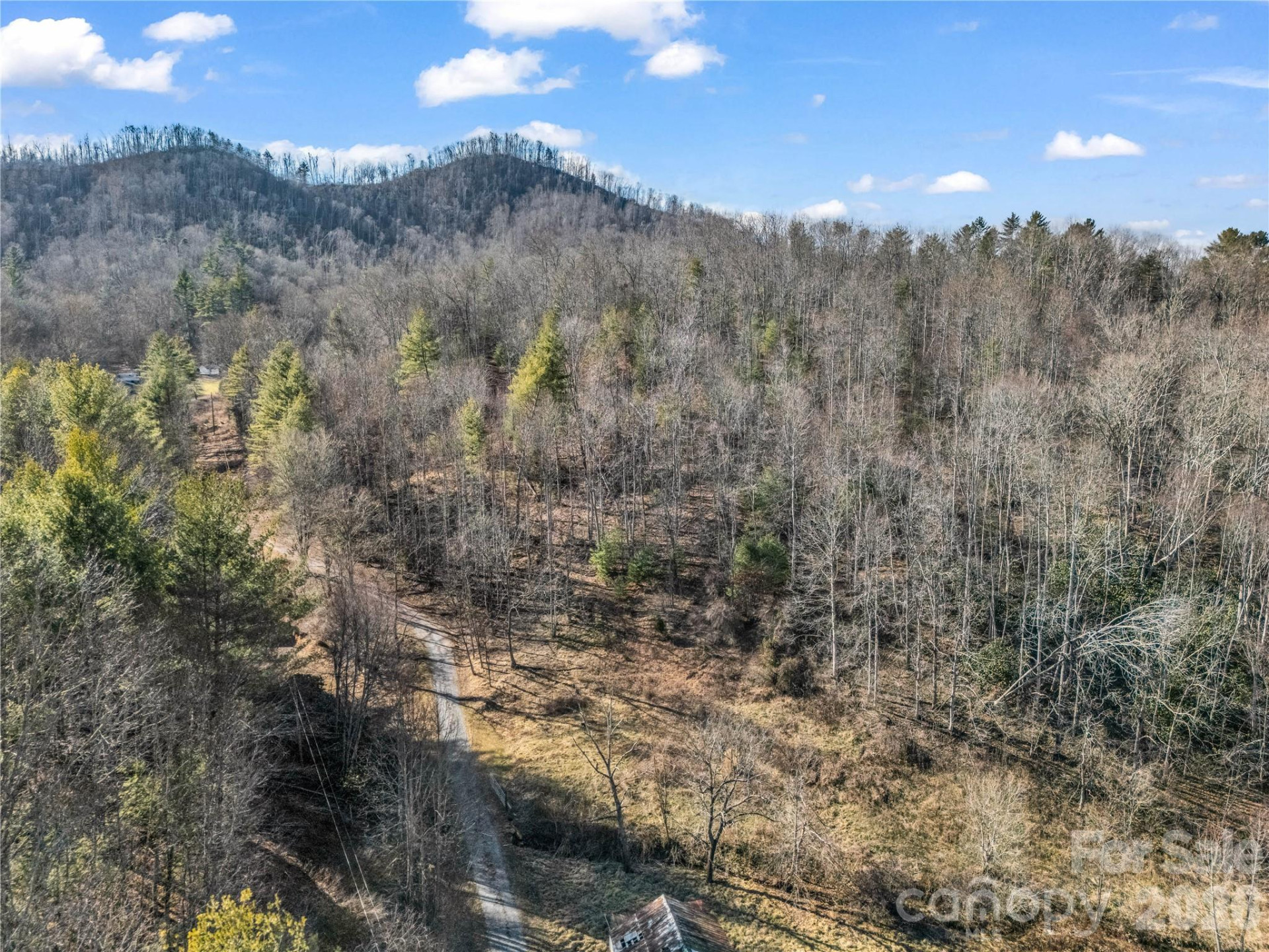530 Mine Creek Road - Photo 2