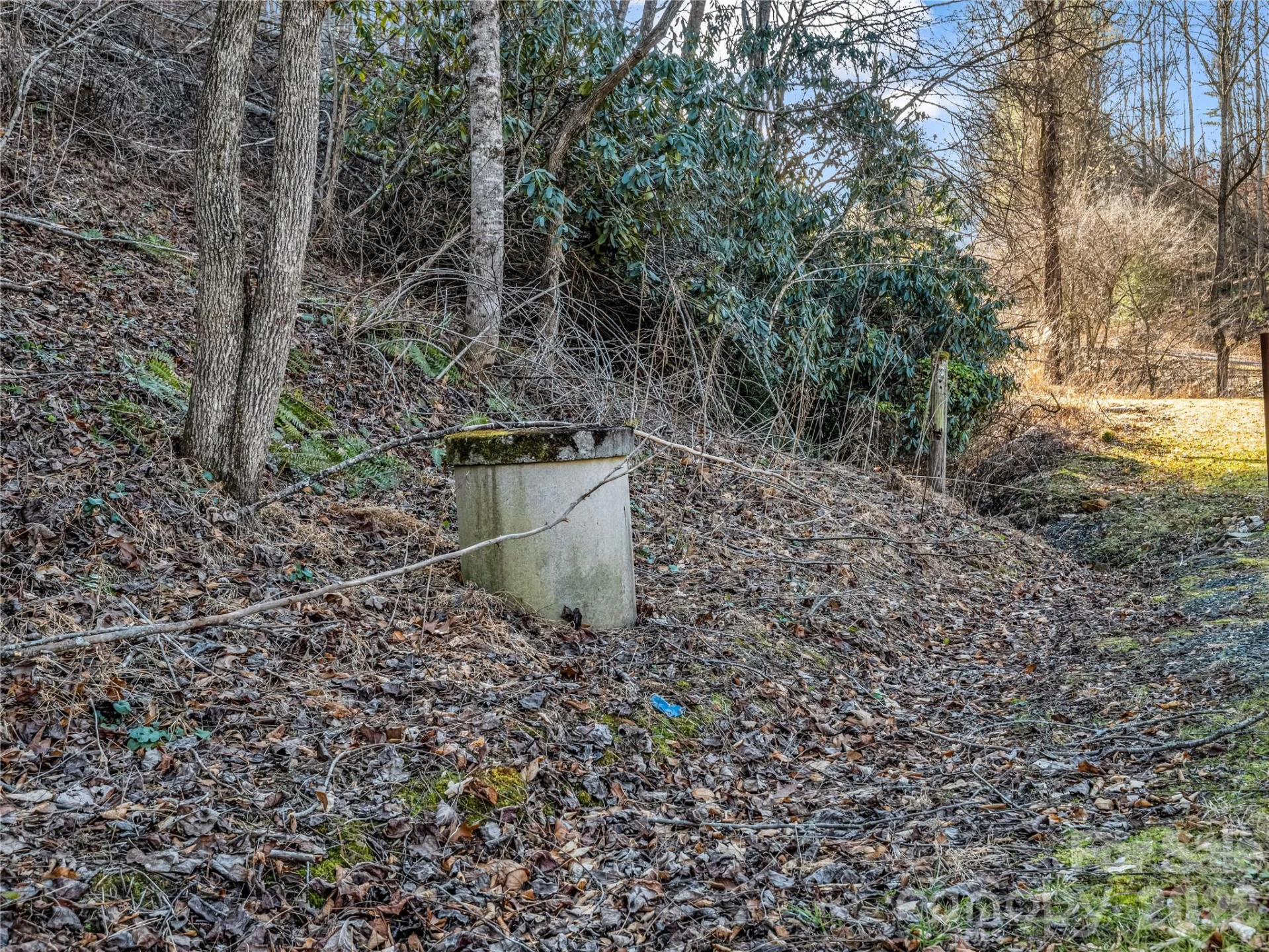 530 Mine Creek Road - Photo 12