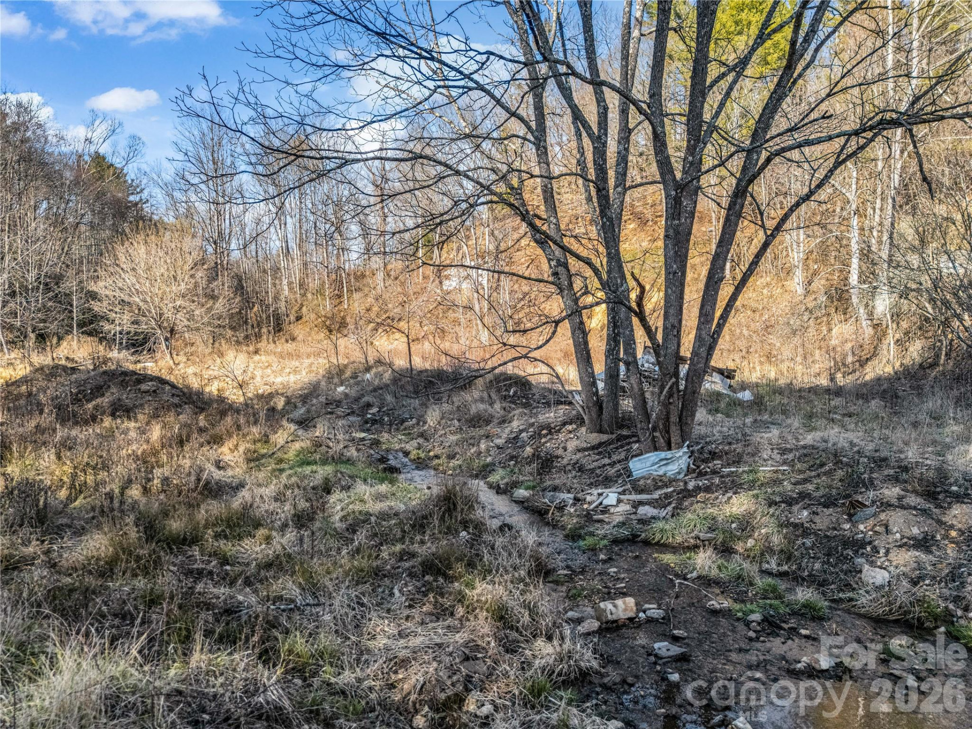 530 Mine Creek Road - Photo 13