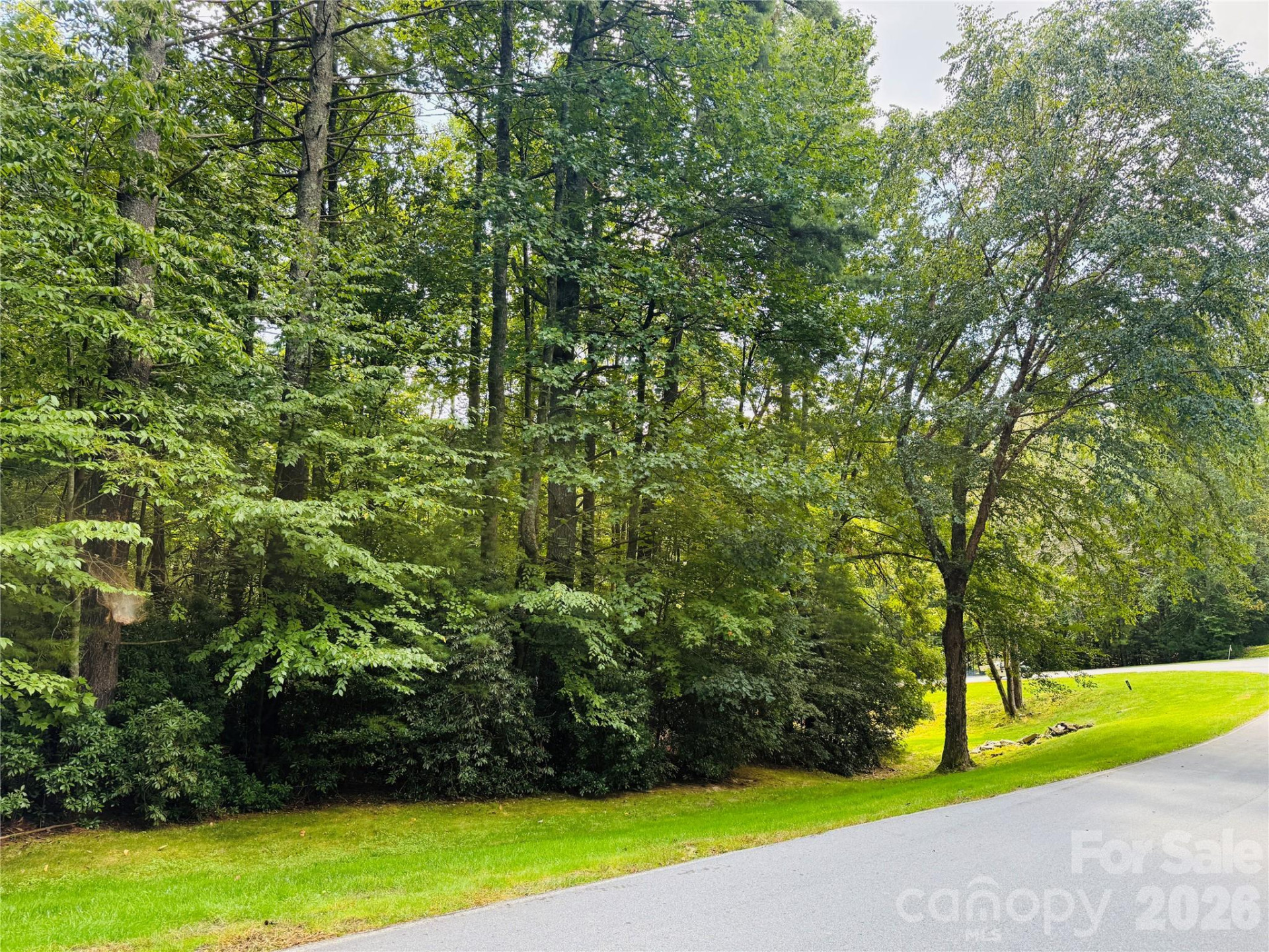 20 Prickly Briar Road - Photo 3