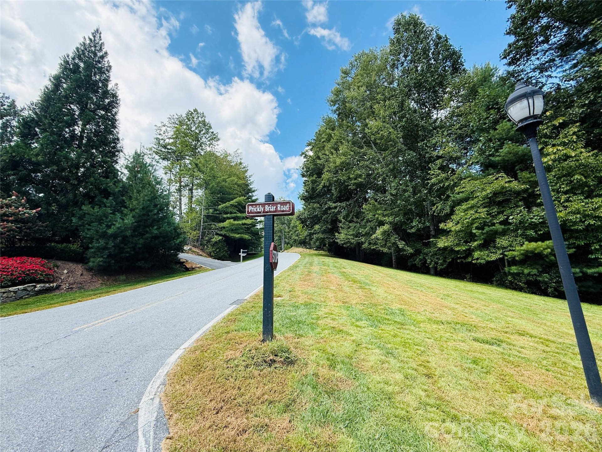 20 Prickly Briar Road - Photo 4