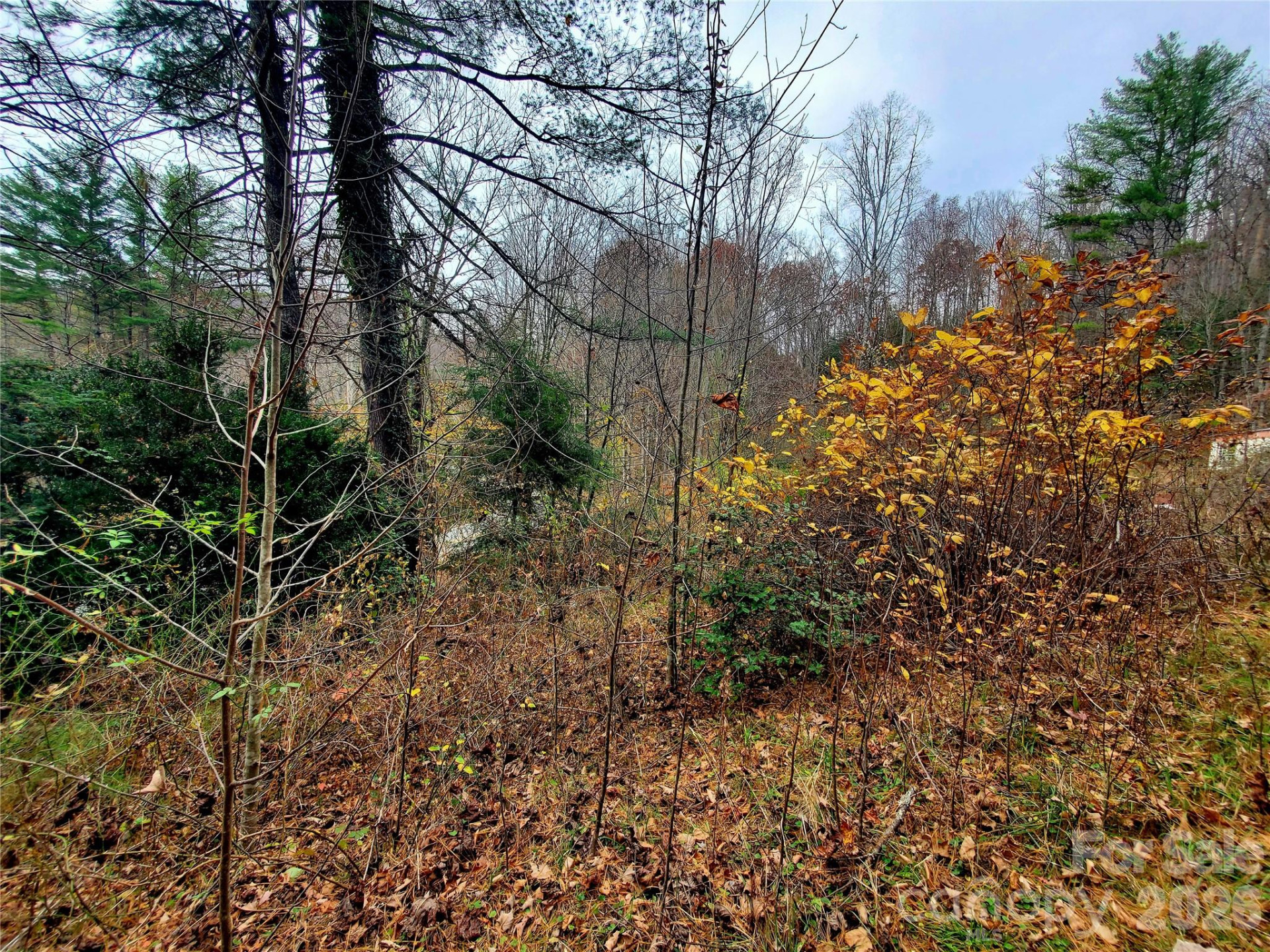 2701 Gouges Creek Road - Photo 11