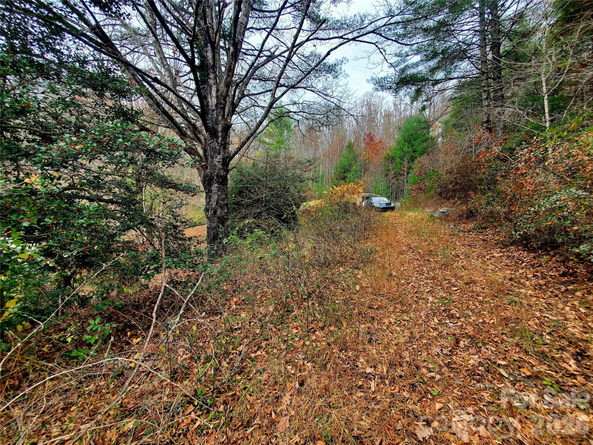 2701 Gouges Creek Road - Photo 12