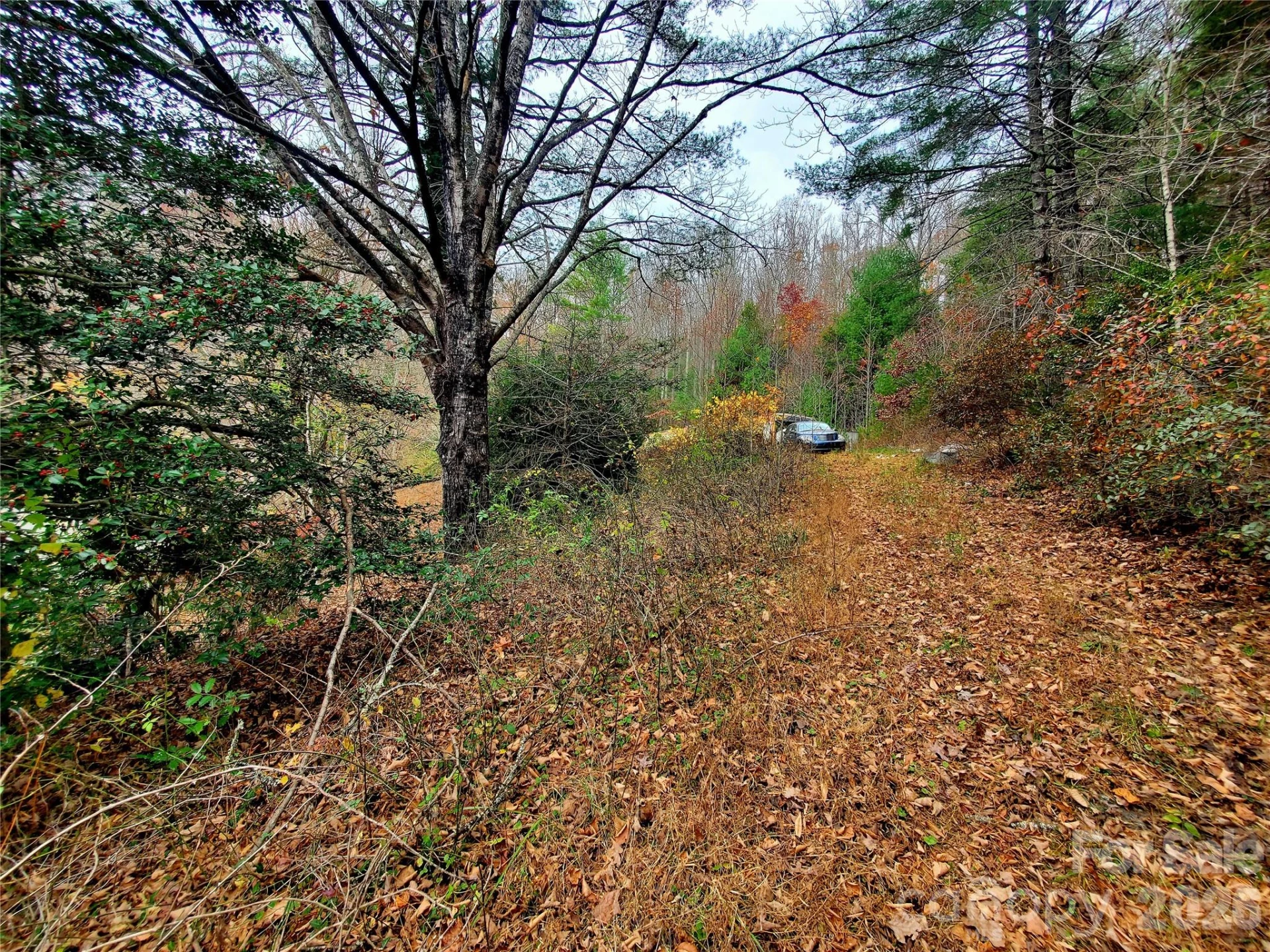 2701 Gouges Creek Road - Photo 12