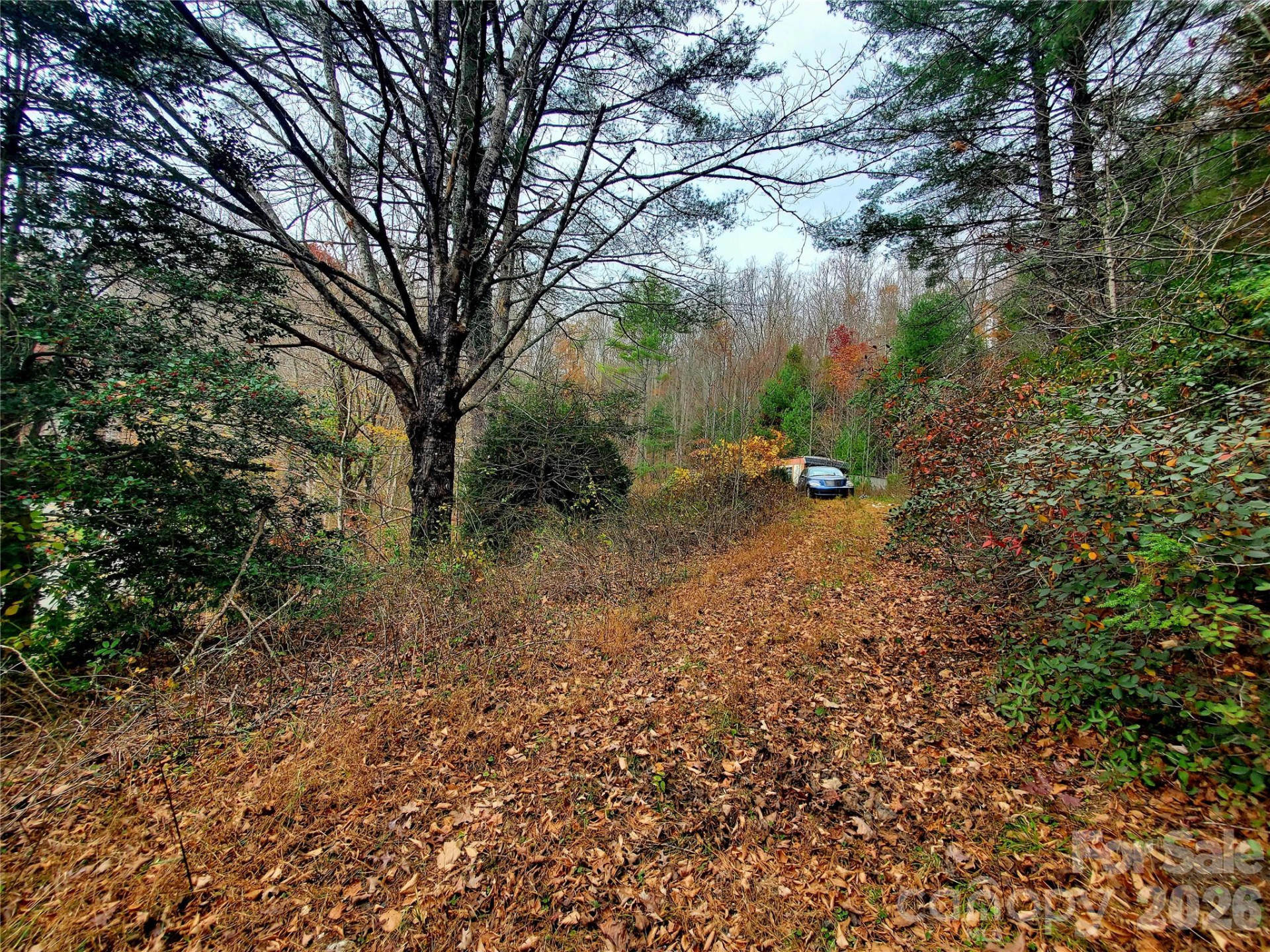 2701 Gouges Creek Road - Photo 14