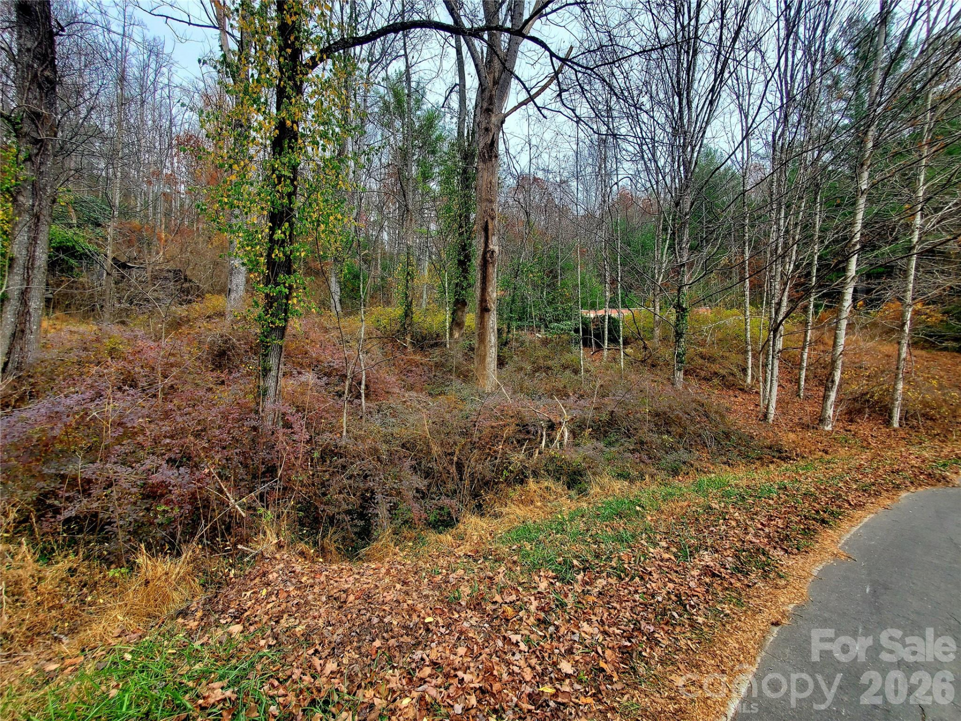 2701 Gouges Creek Road - Photo 15