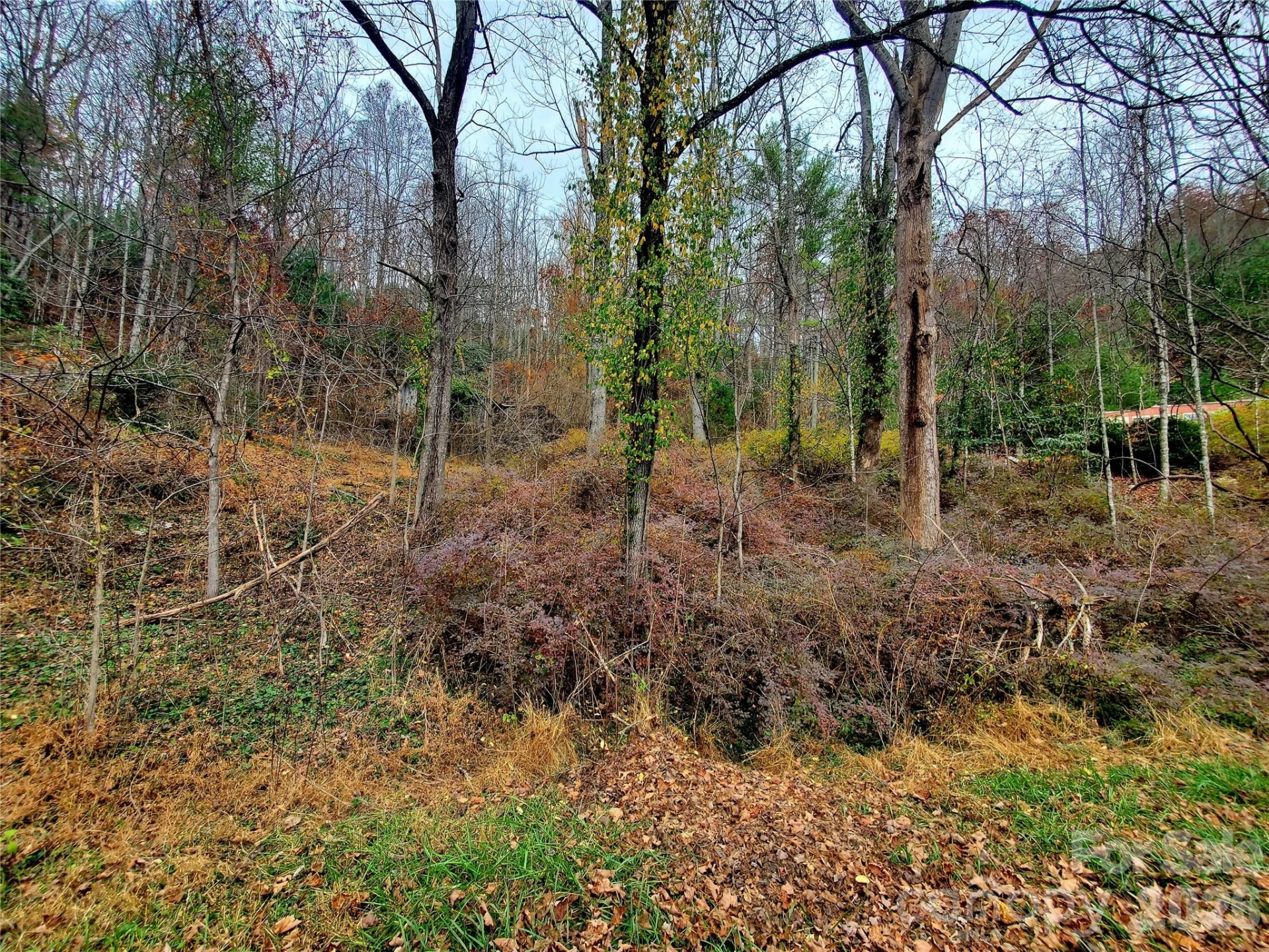2701 Gouges Creek Road - Photo 16