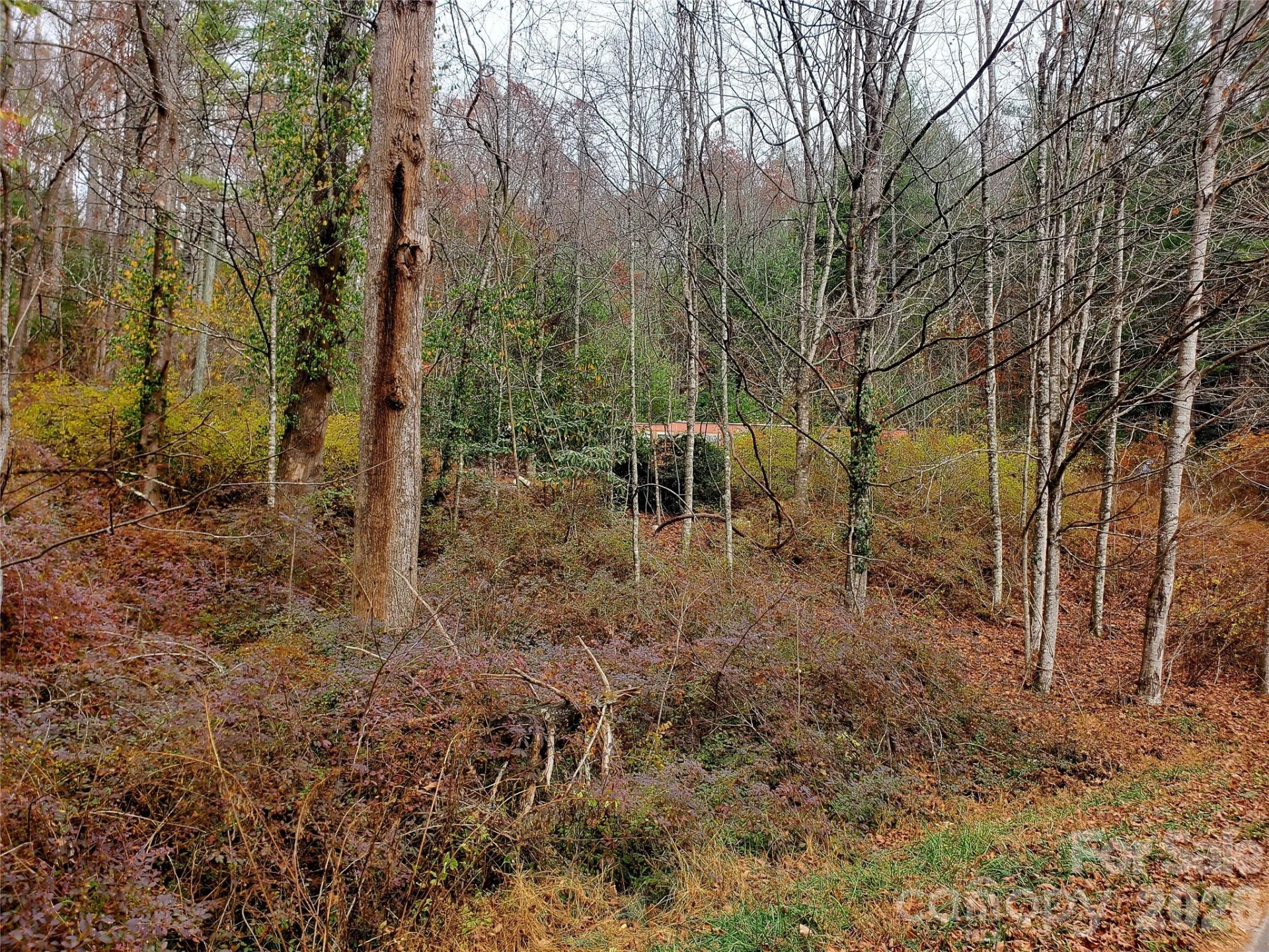 2701 Gouges Creek Road - Photo 18