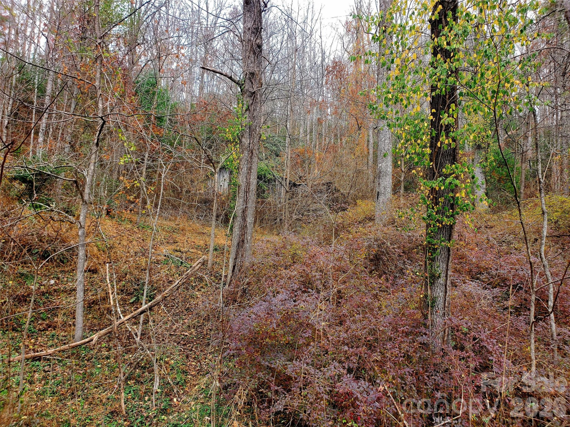 2701 Gouges Creek Road - Photo 19