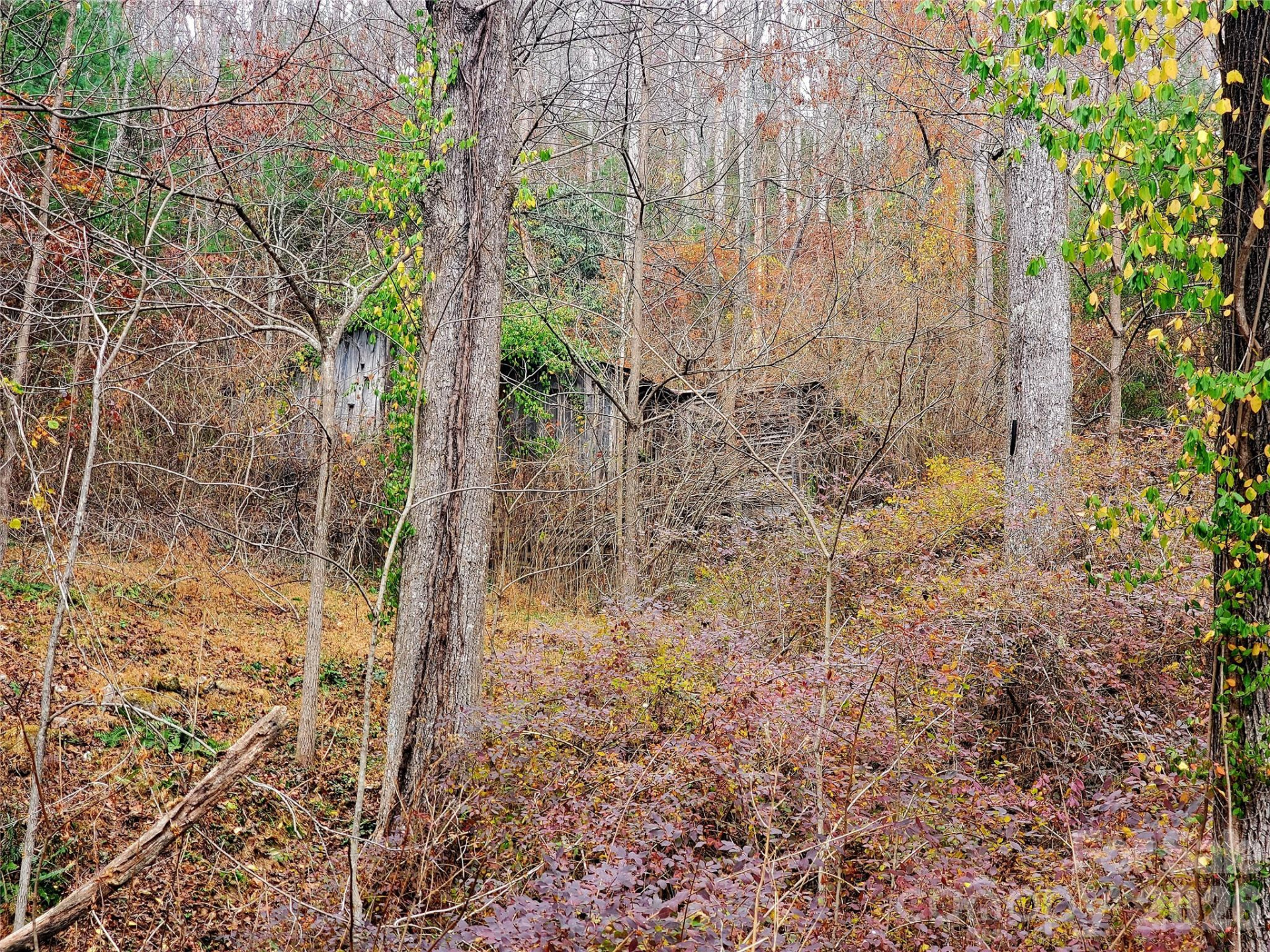 2701 Gouges Creek Road - Photo 3