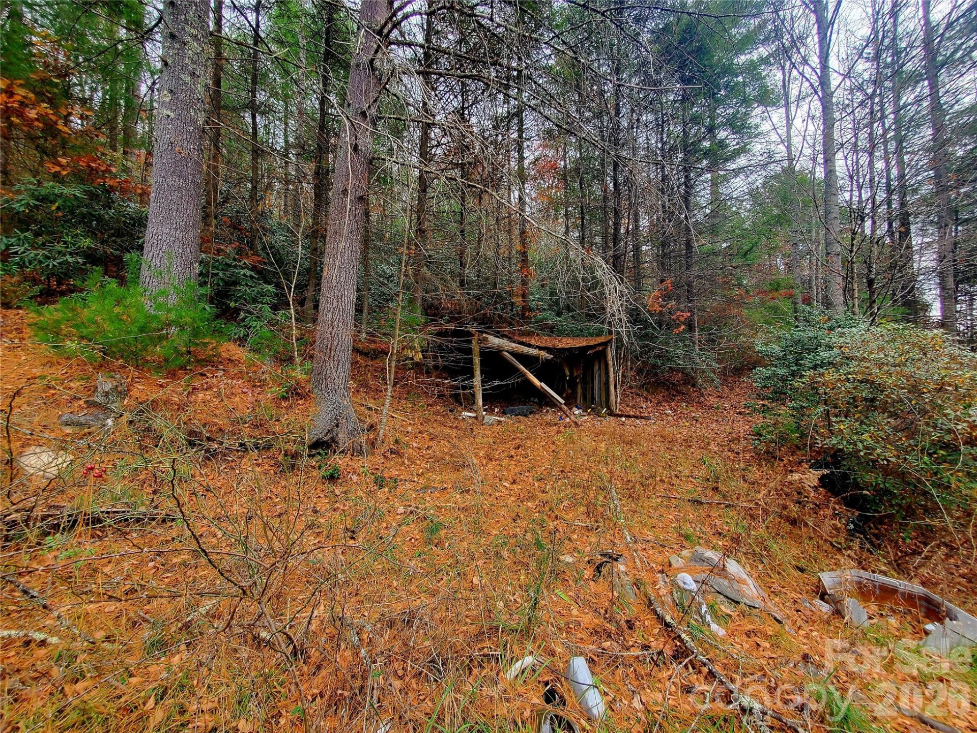 2701 Gouges Creek Road - Photo 4