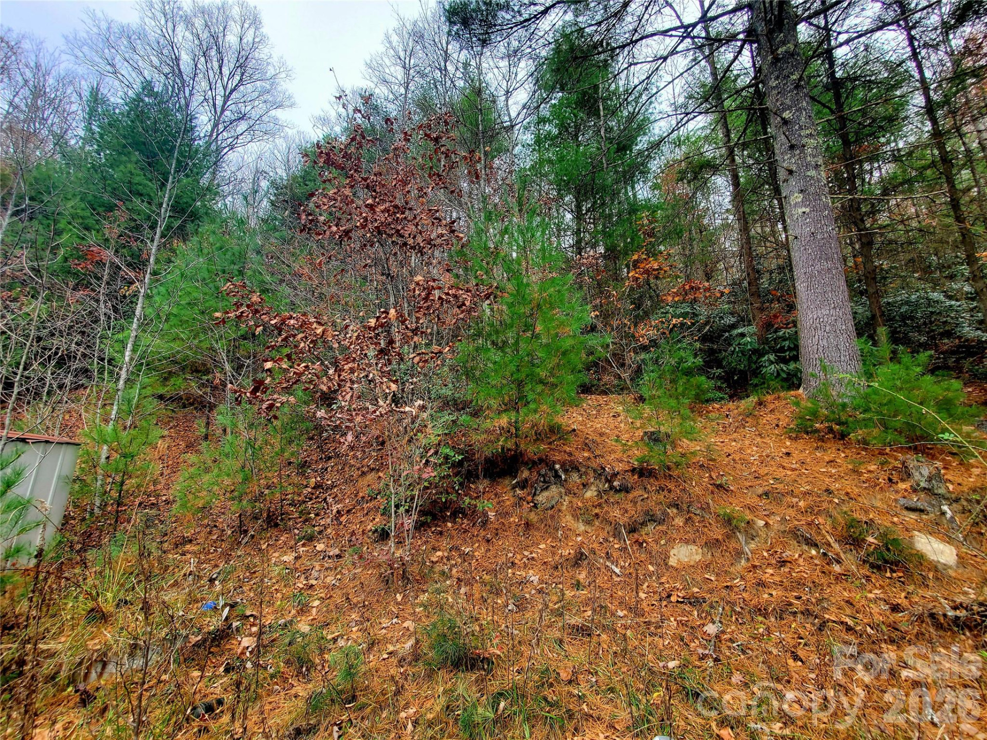 2701 Gouges Creek Road - Photo 5