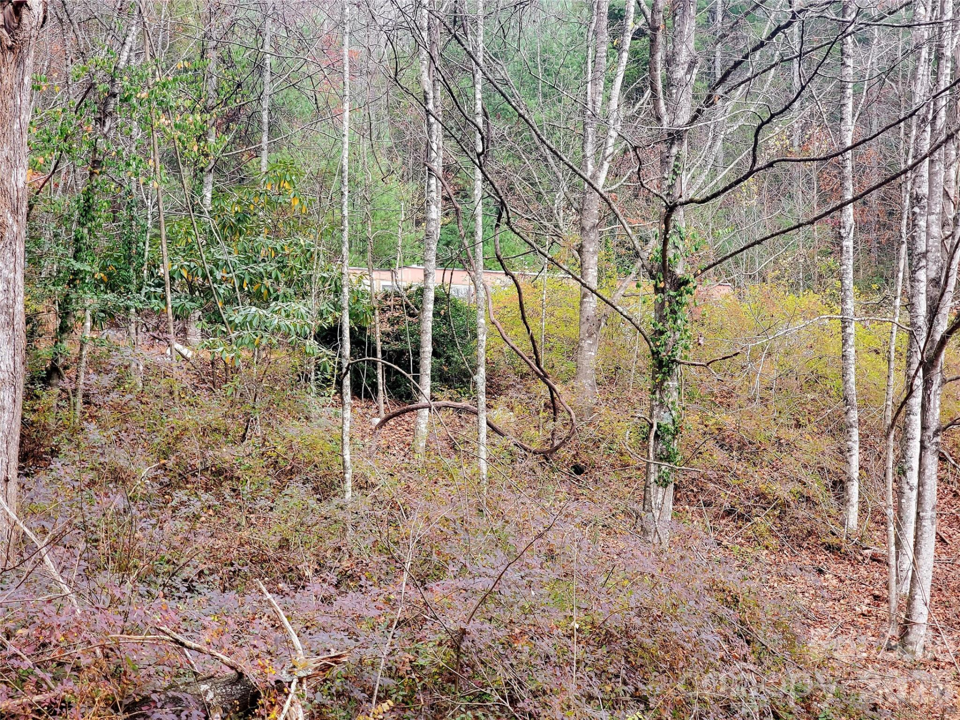 2701 Gouges Creek Road - Photo 7