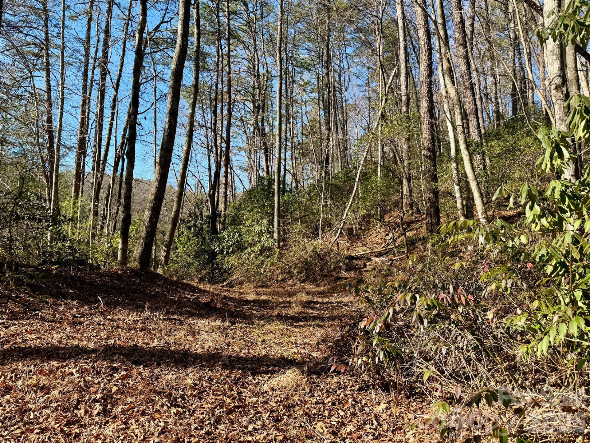 lots 35, 36 & 37 Fox Den Road #35,36,37 - Photo 2