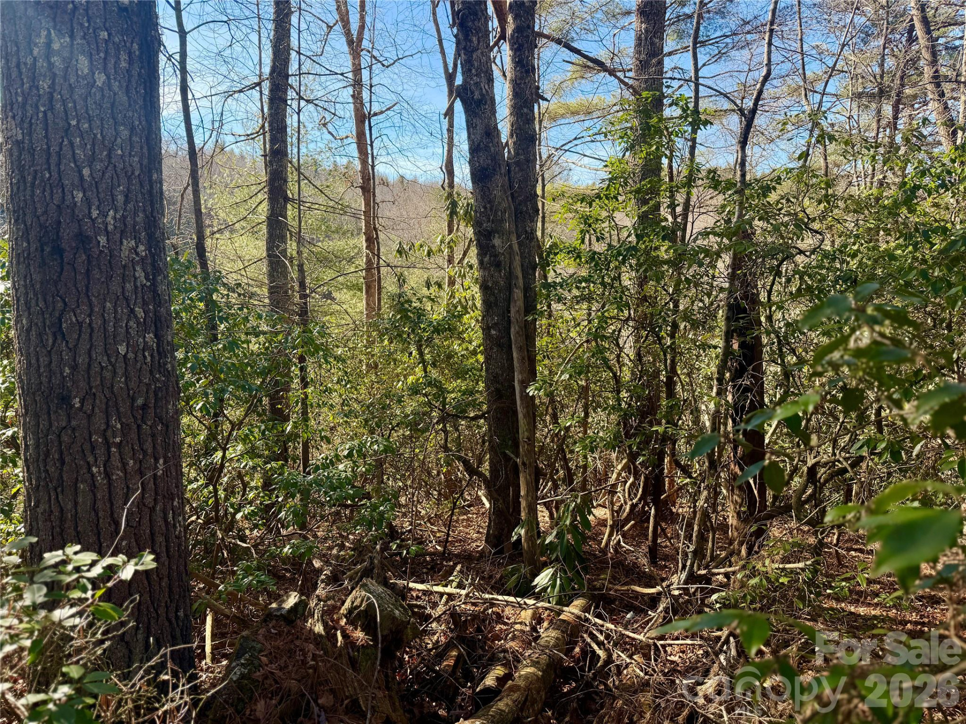 lots 35, 36 & 37 Fox Den Road #35,36,37 - Photo 11