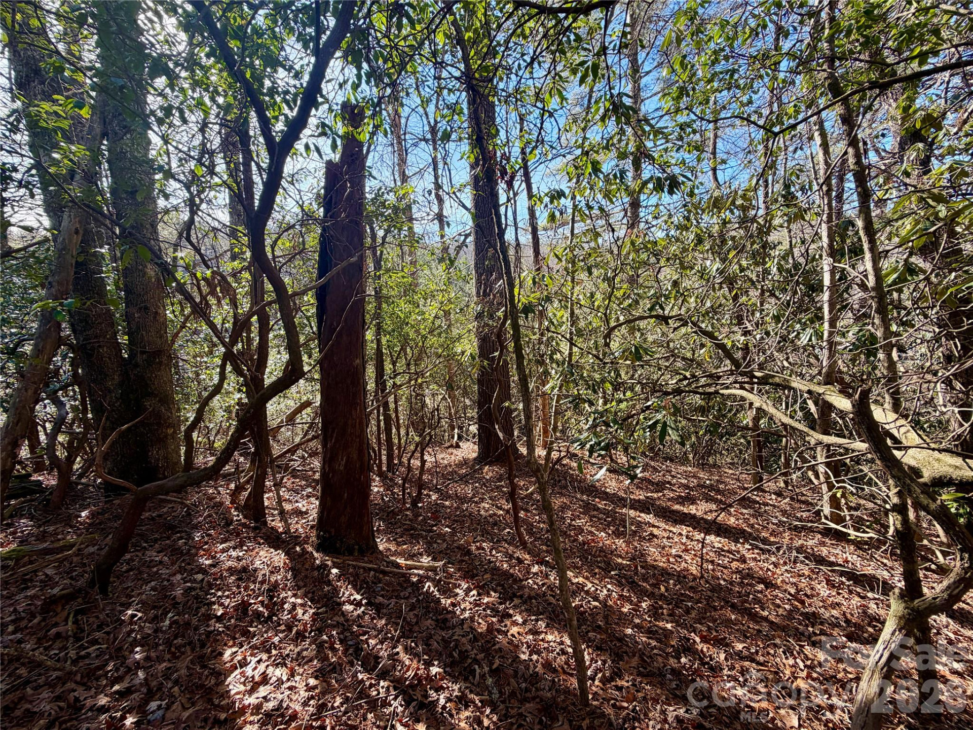 lots 35, 36 & 37 Fox Den Road #35,36,37 - Photo 12