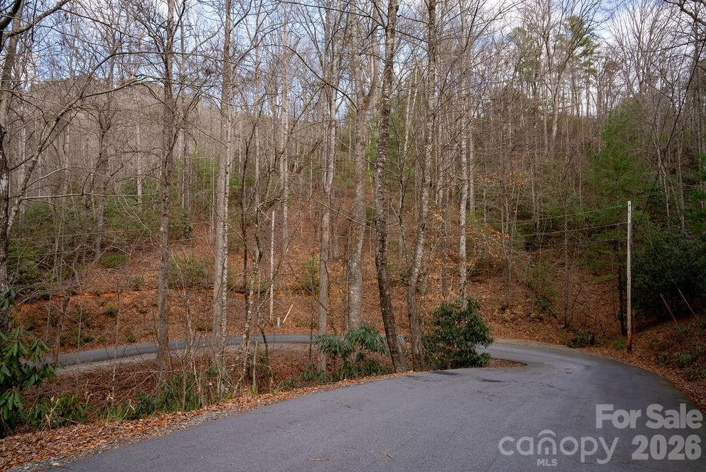 lots 35, 36 & 37 Fox Den Road #35,36,37 - Photo 14