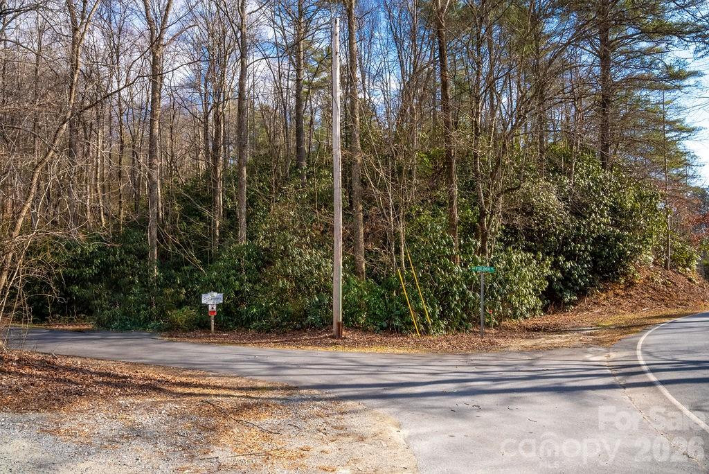 lots 35, 36 & 37 Fox Den Road #35,36,37 - Photo 16