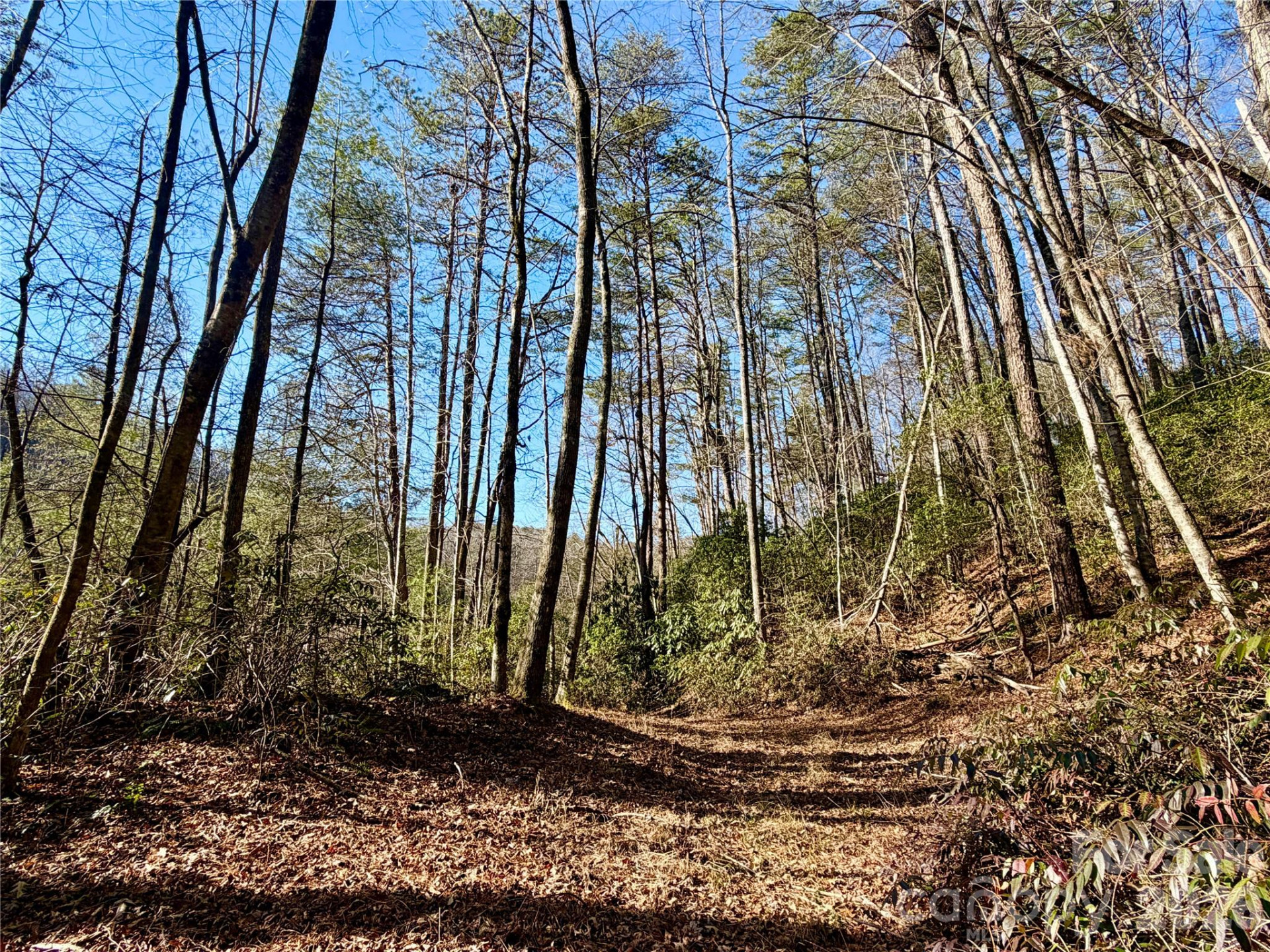 lots 35, 36 & 37 Fox Den Road #35,36,37 - Photo 19