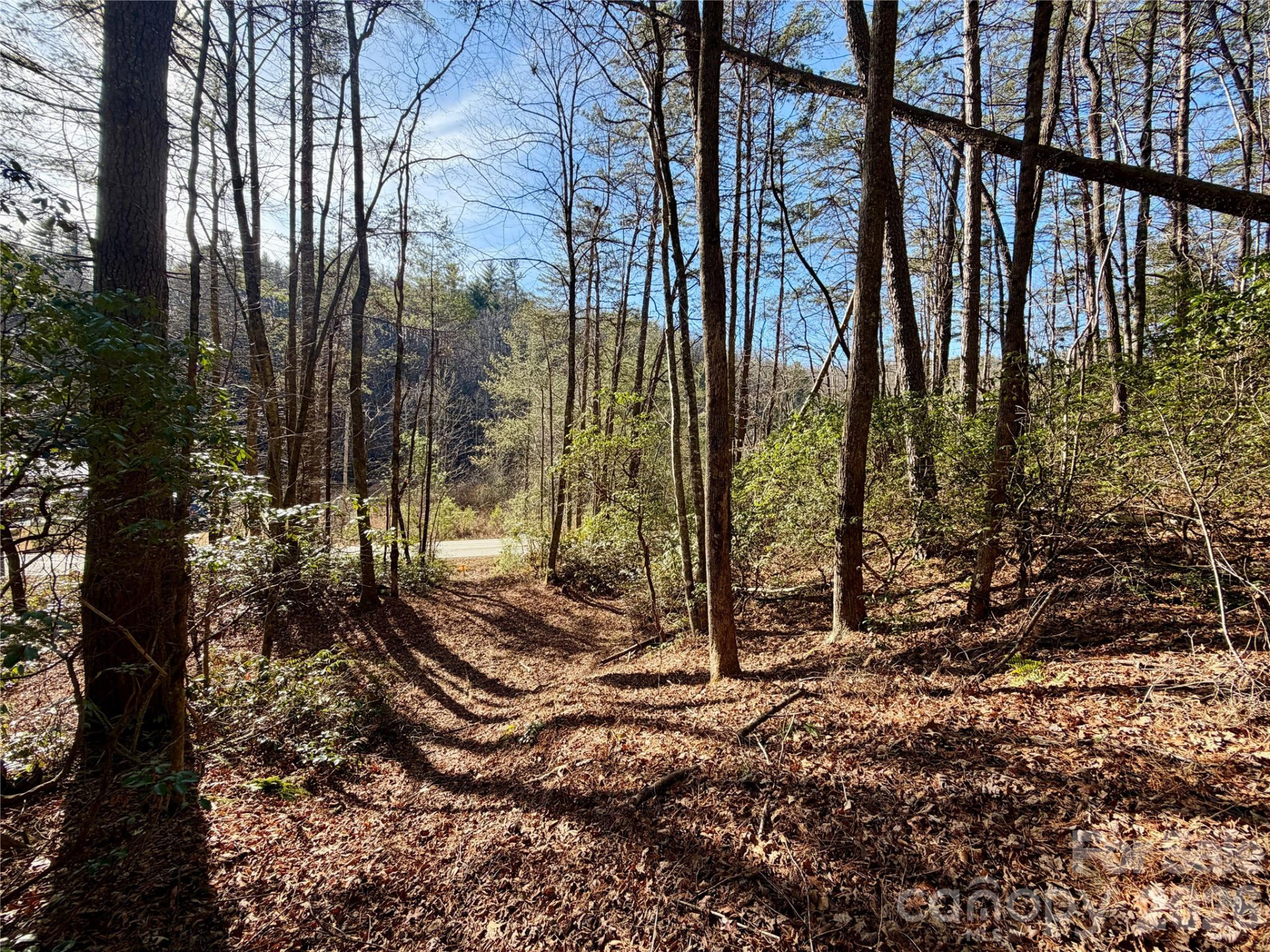 lots 35, 36 & 37 Fox Den Road #35,36,37 - Photo 3