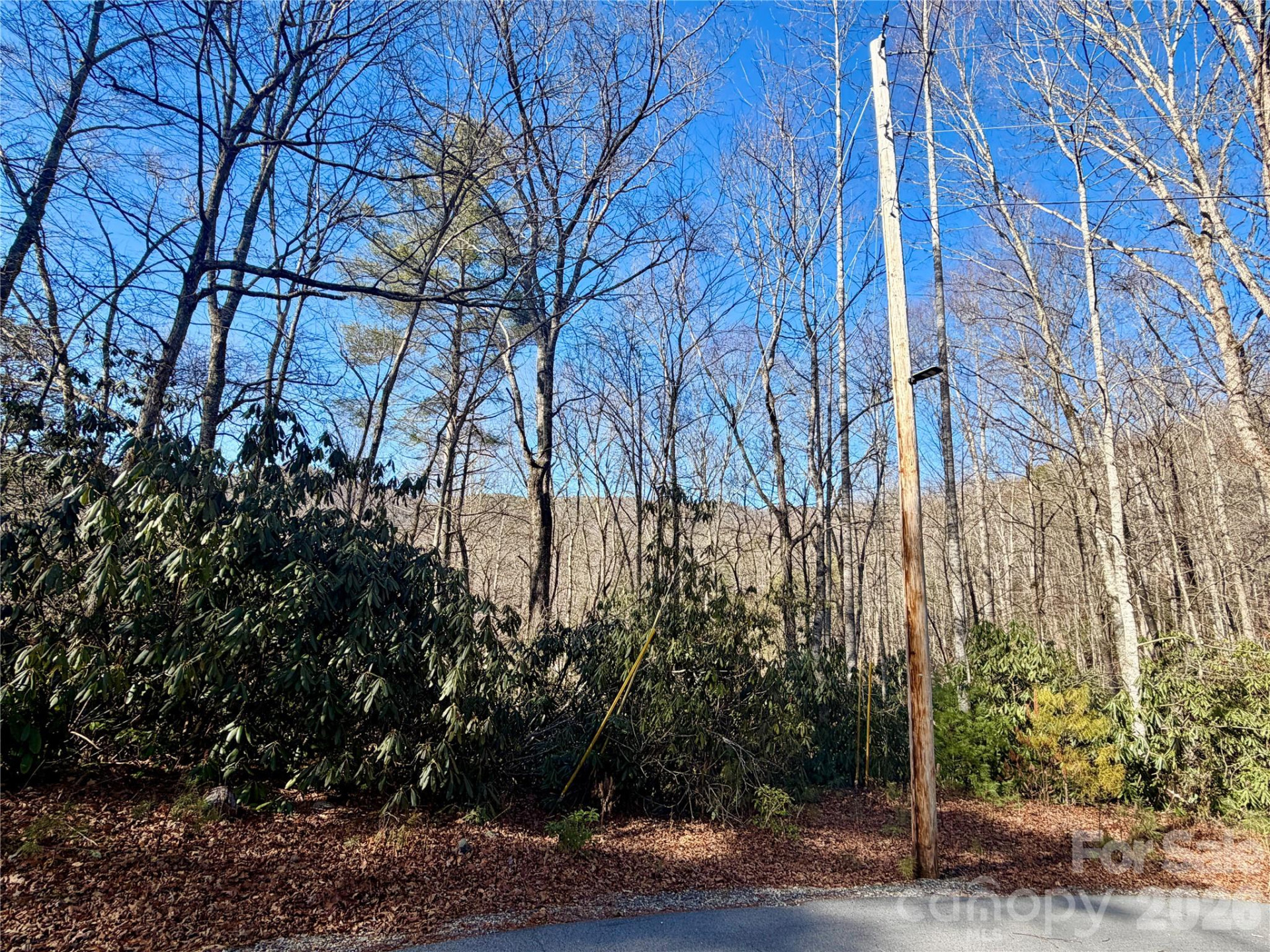 lots 35, 36 & 37 Fox Den Road #35,36,37 - Photo 7