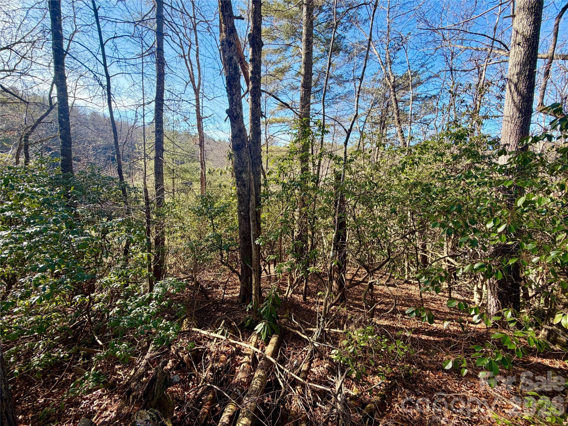 lots 35, 36 & 37 Fox Den Road #35,36,37 - Photo 8