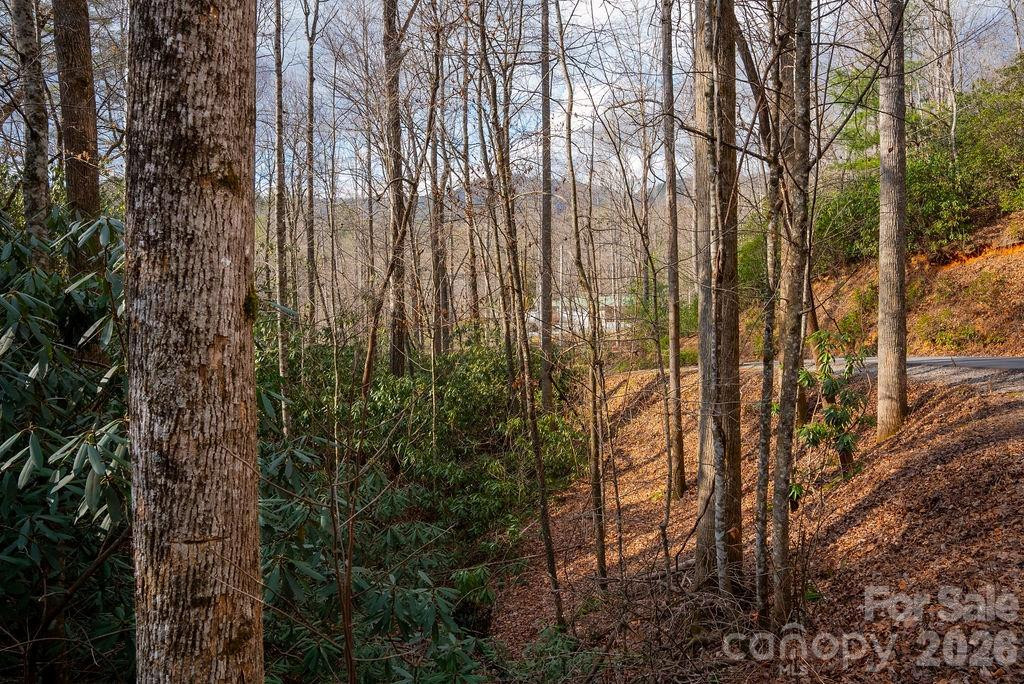 lots 35, 36 & 37 Fox Den Road #35,36,37 - Photo 9